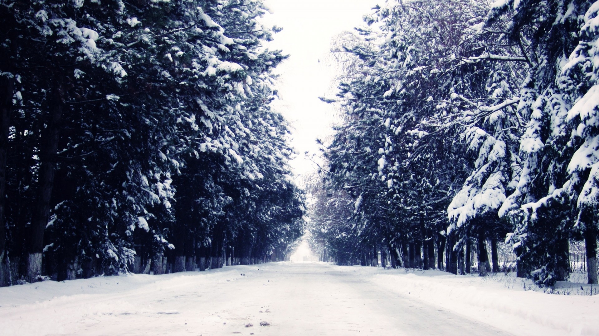 1920x1080 Home Â» Snow Wallpapers HD Backgrounds, Images, Pics, Photos Free Download