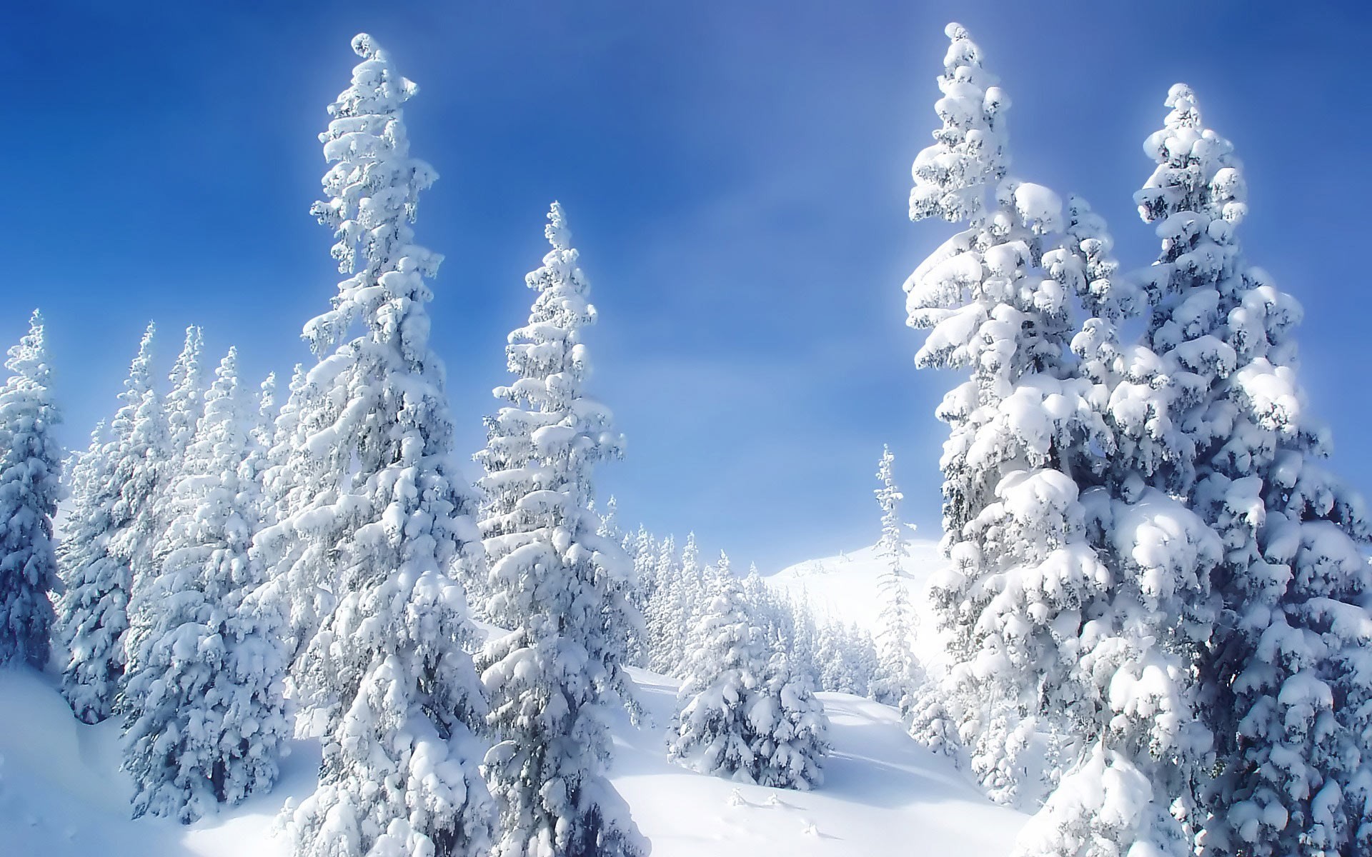 1920x1200 snow theme background images