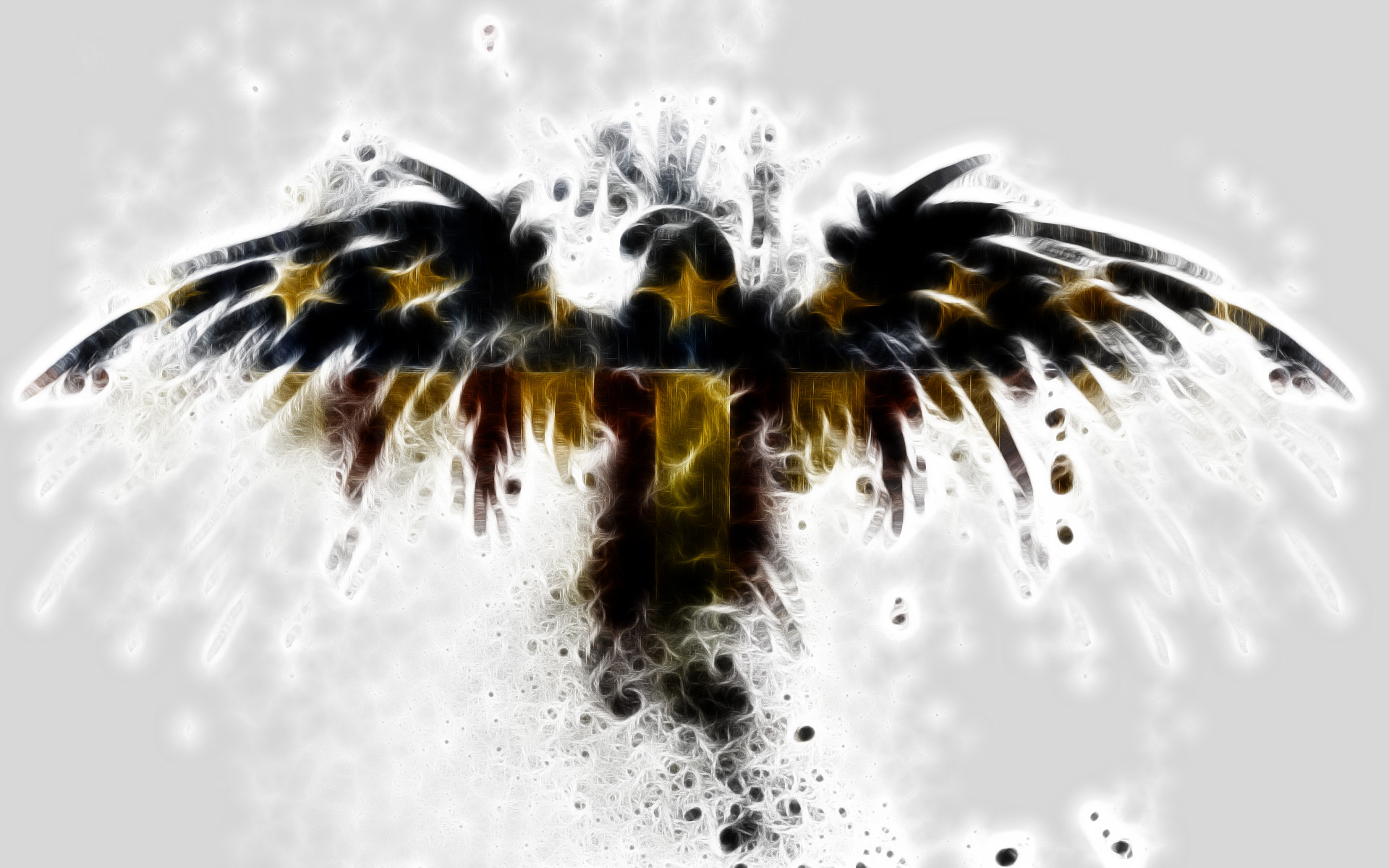 1920x1200 ... Interesting American Eagle Full HD Background Images Collection:   px on G.sFDcY ...