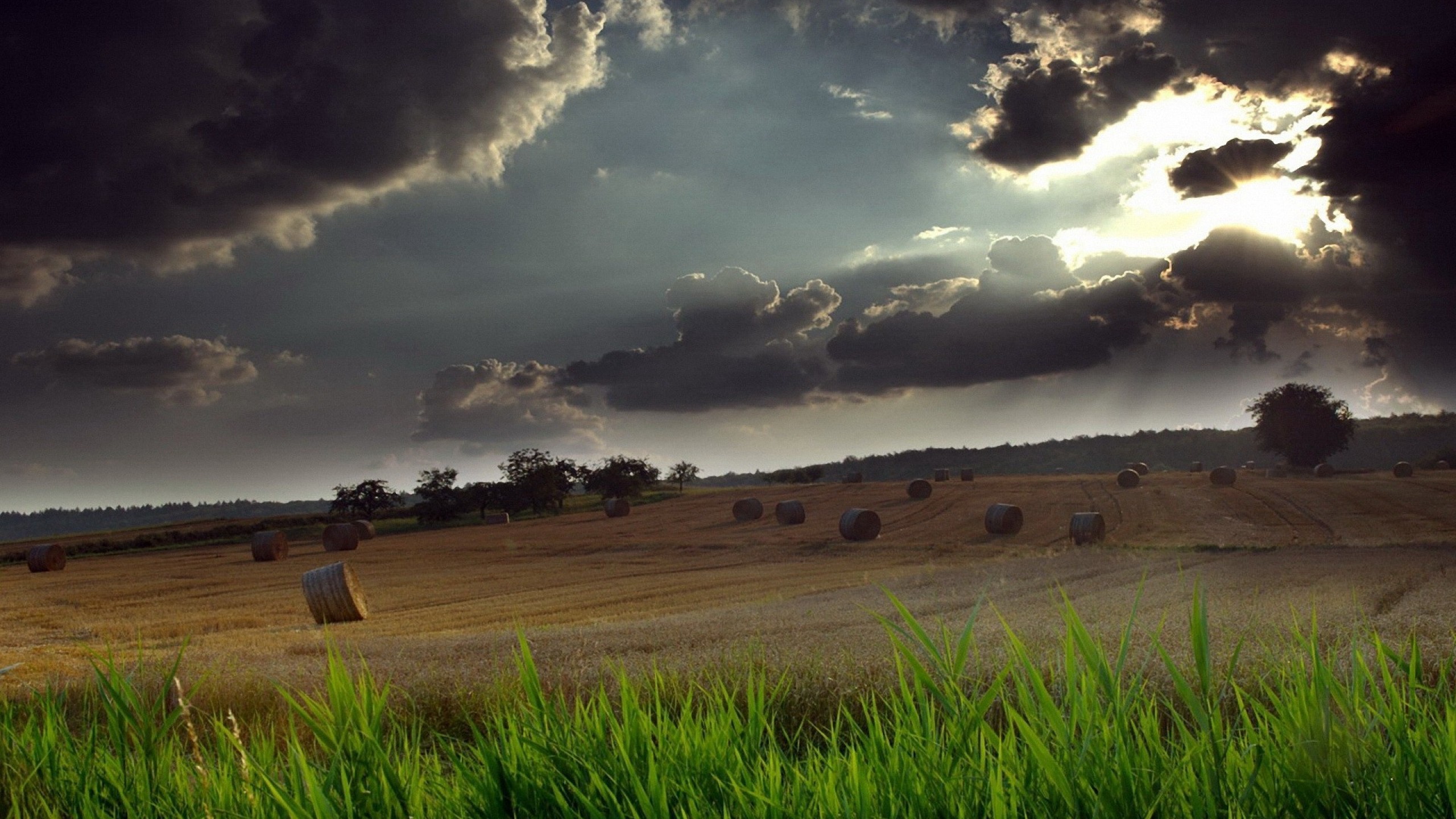 2560x1440 farm-dark-clouds-sunshine
