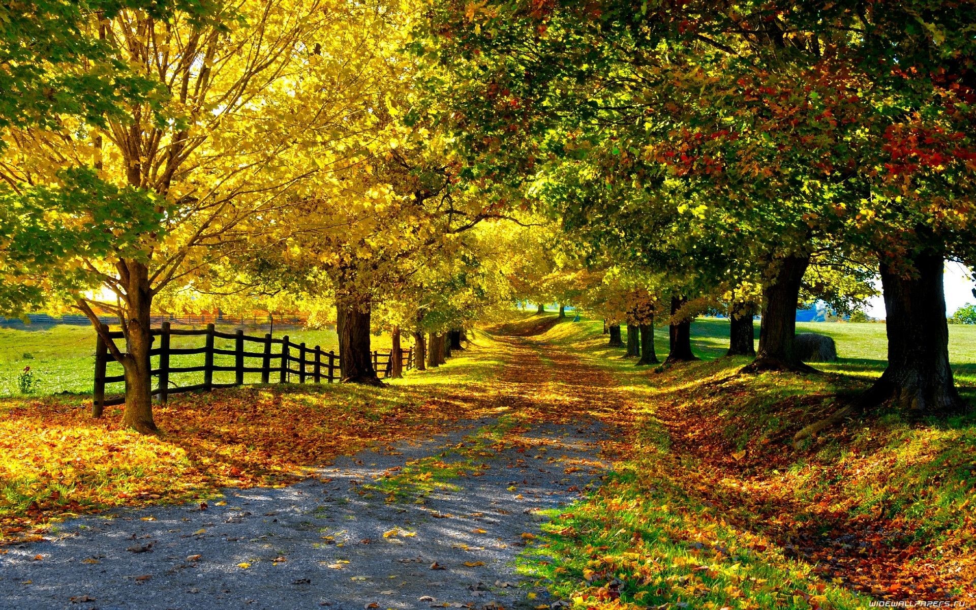 1920x1200 Fall in Countryside Road Wallpapers