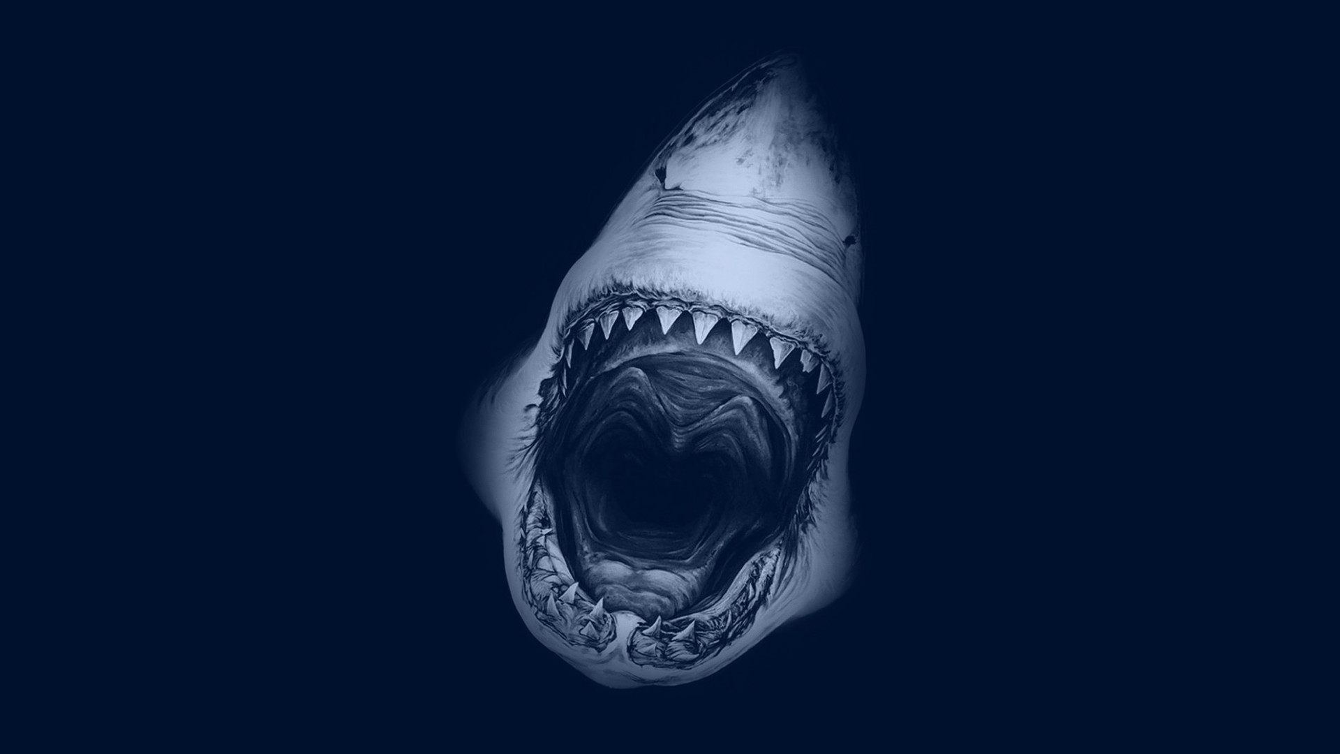 1920x1080 Great White Shark Mouth Open Swimming from the Deep Ocean HD desktop  wallpaper. More wallpaper of Sharks at Deutsch Wallpapers