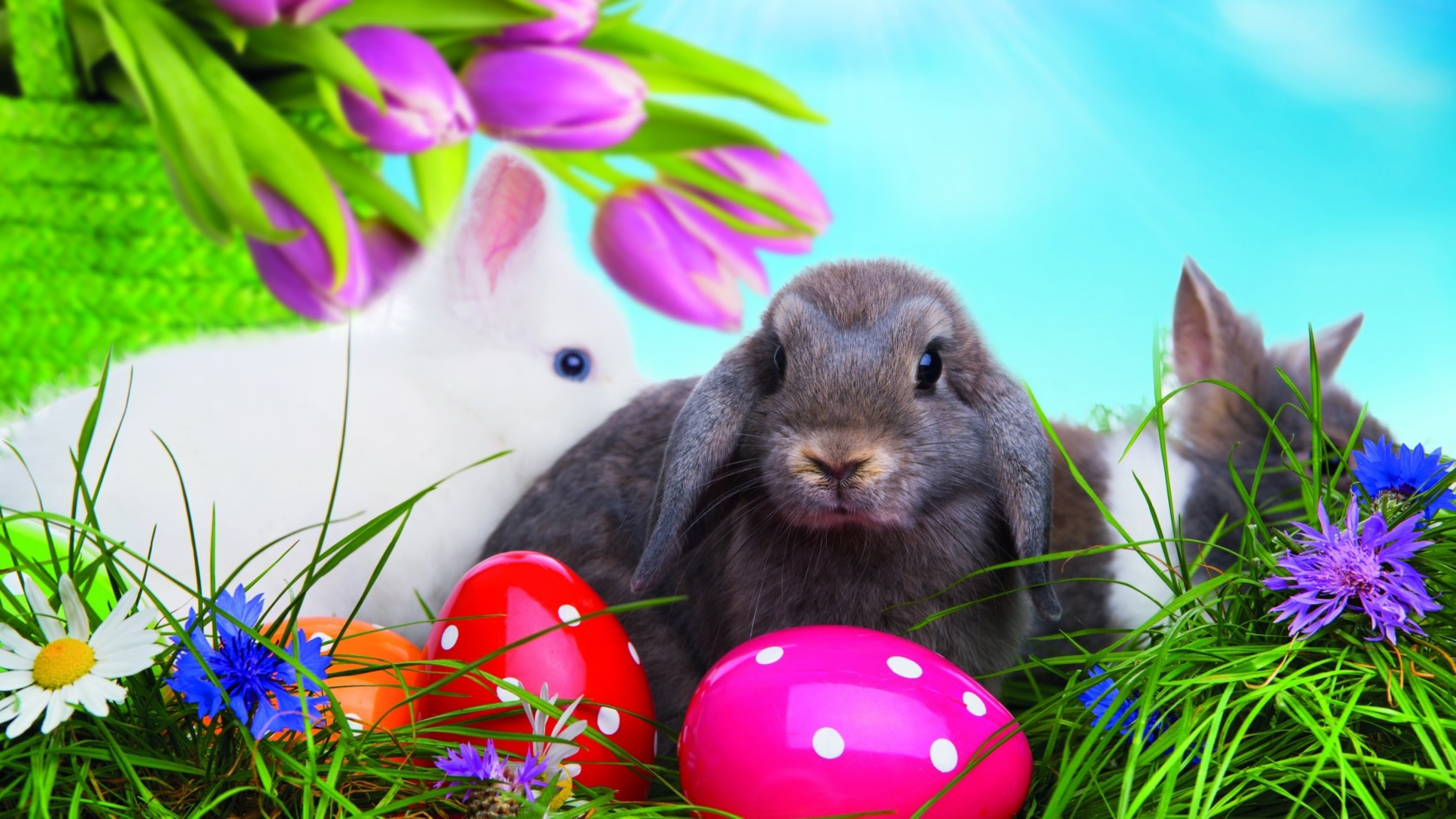 3840x2160  Wallpaper easter, eggs, colorful, rabbits, grass