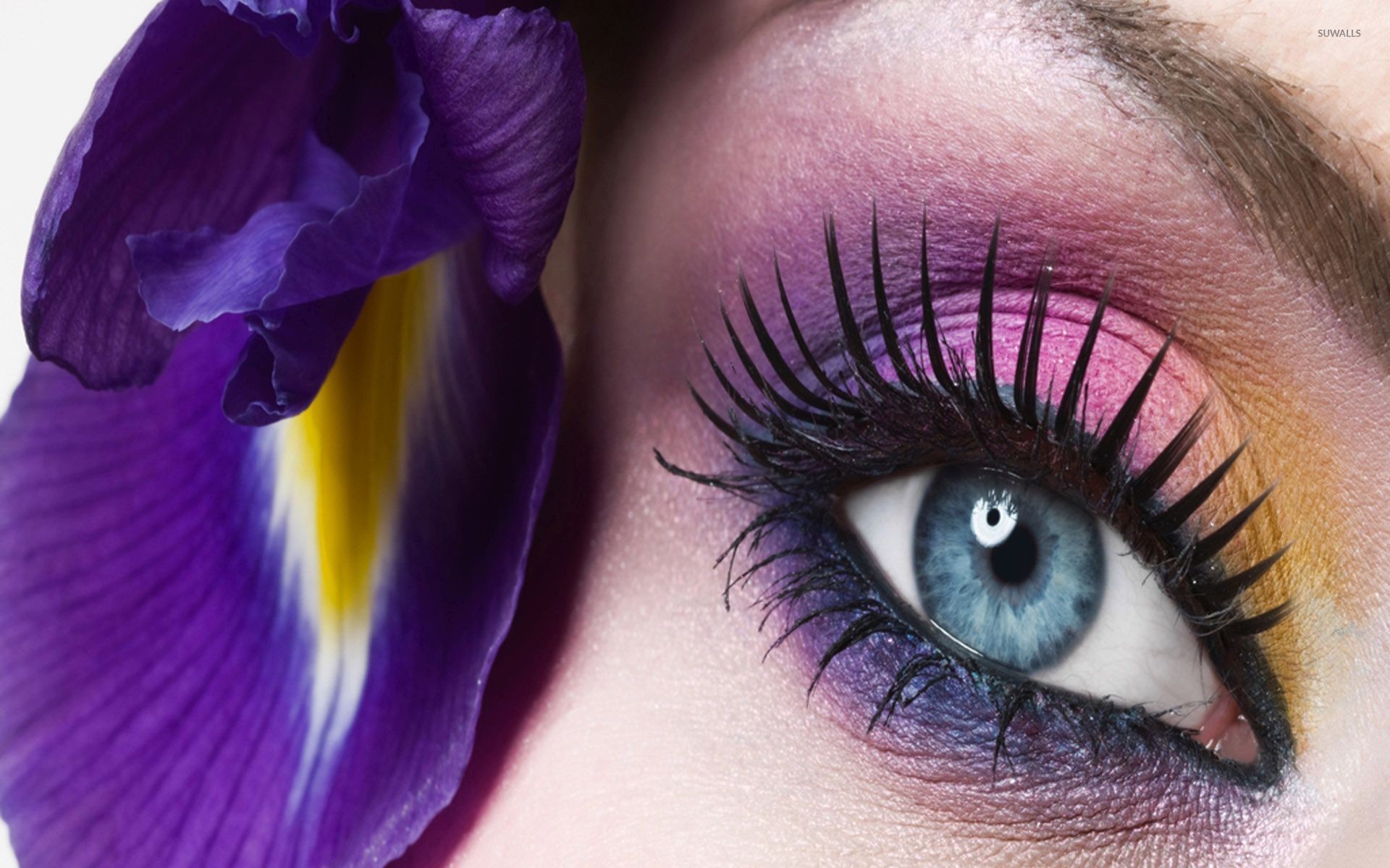 1920x1200 Pink and purple makeup on the blue eye wallpaper  jpg