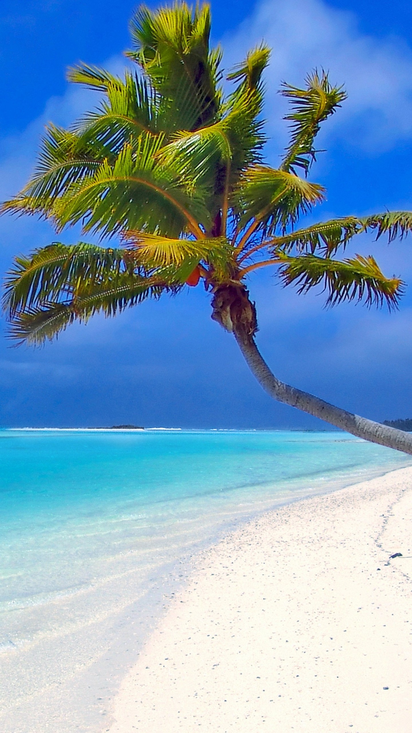 1440x2560  Wallpaper maldives, beach, palm trees, sand, sea