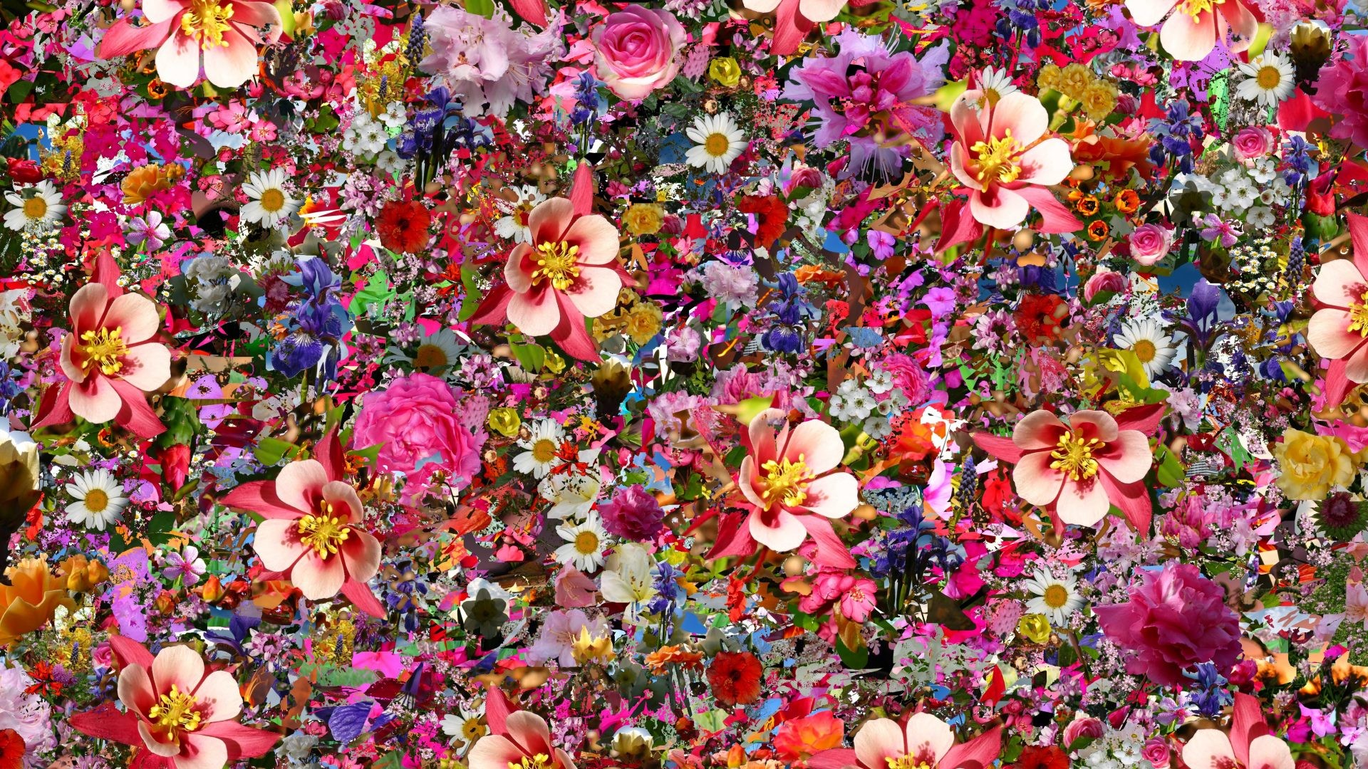 1920x1080 Psychedelic Tag - Flower Psychedelic Nature Image High Quality for HD 16:9 High  Definition