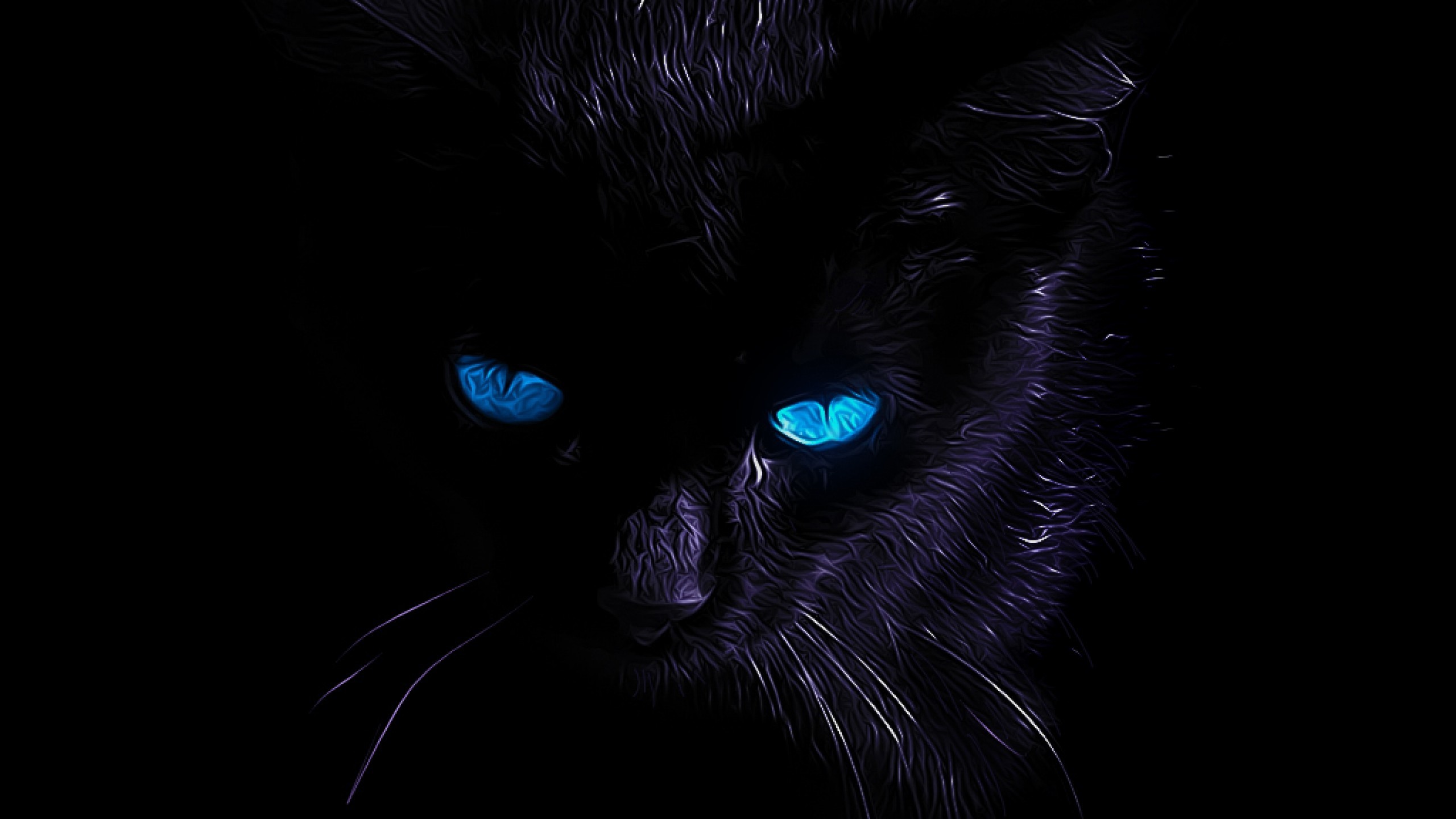2560x1440 ... Funny black cat xD - Fantasy & Abstract Background Wallpapers on .