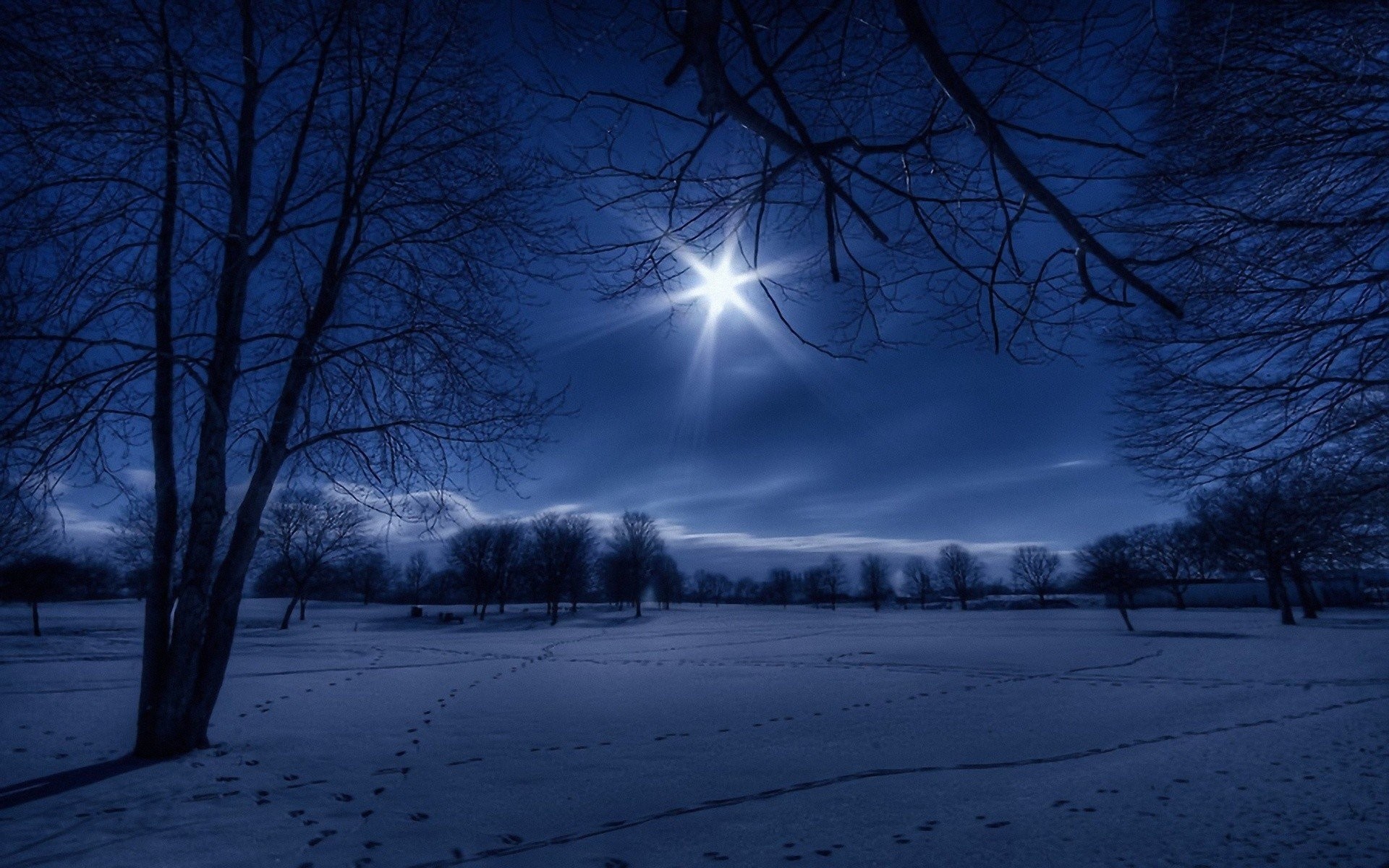 1920x1200 winter-nature-white-moonlight-wallpaper-night-footprint-snow-wallpapers-landscapes-trees.jpg  (1920Ã1200) | Zima | Pinterest | Winter night and Moonlight