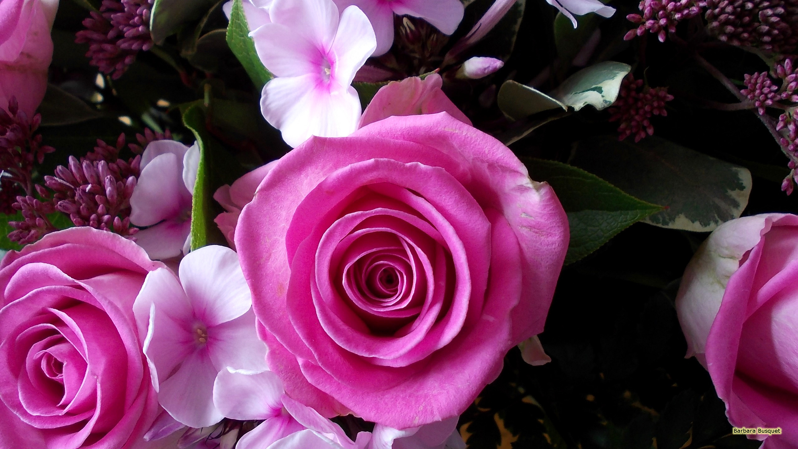 2560x1440 Summer bouquet pink roses