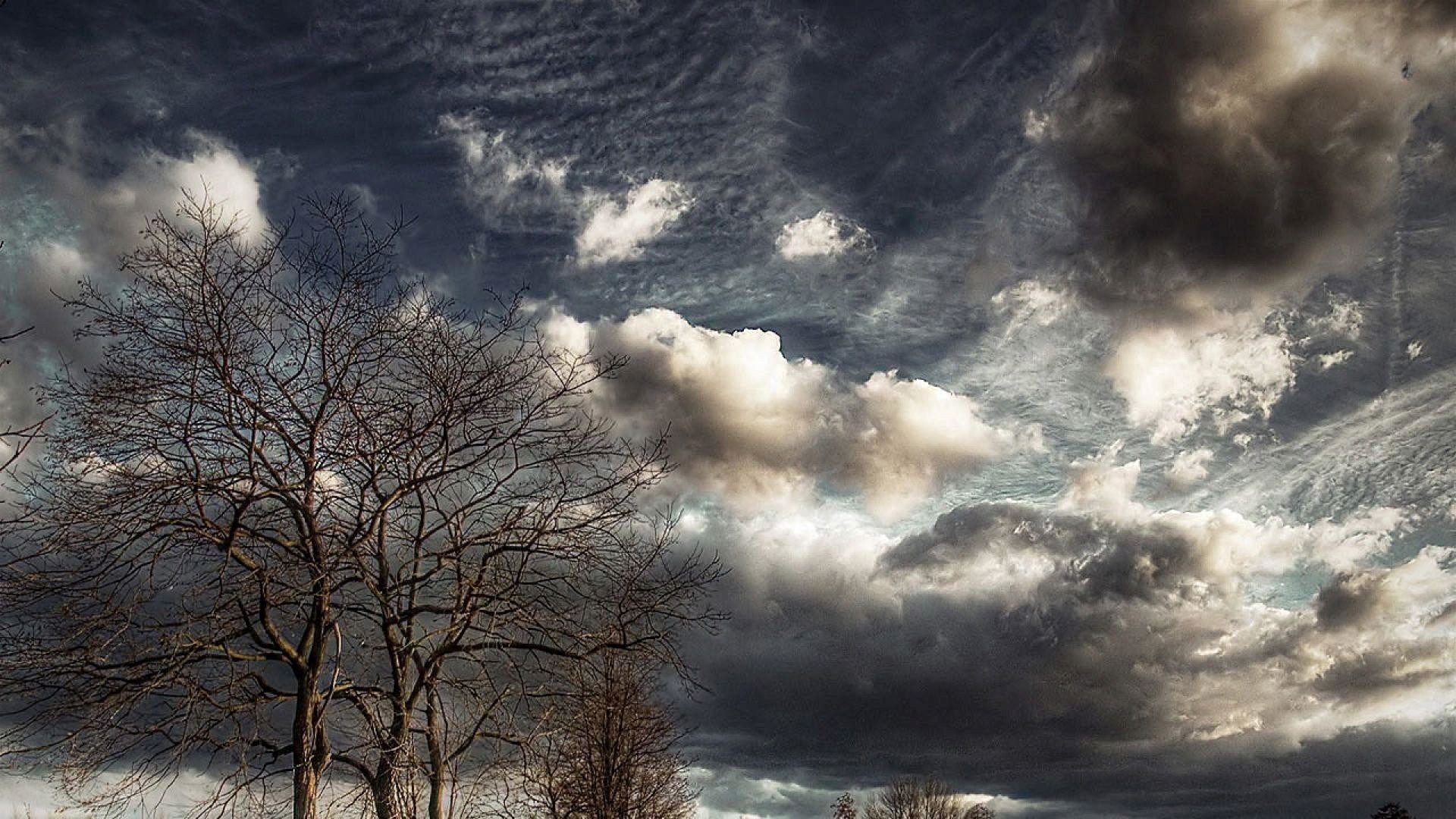 1920x1080 Cloudy sky above the trees wallpaper