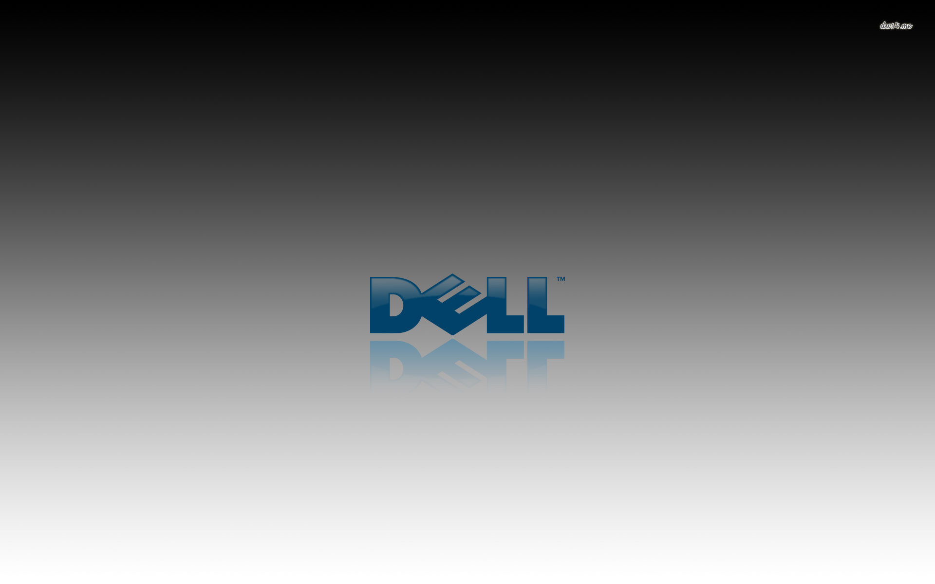 1920x1200 Dell Logo. Dell Logo wallpaper