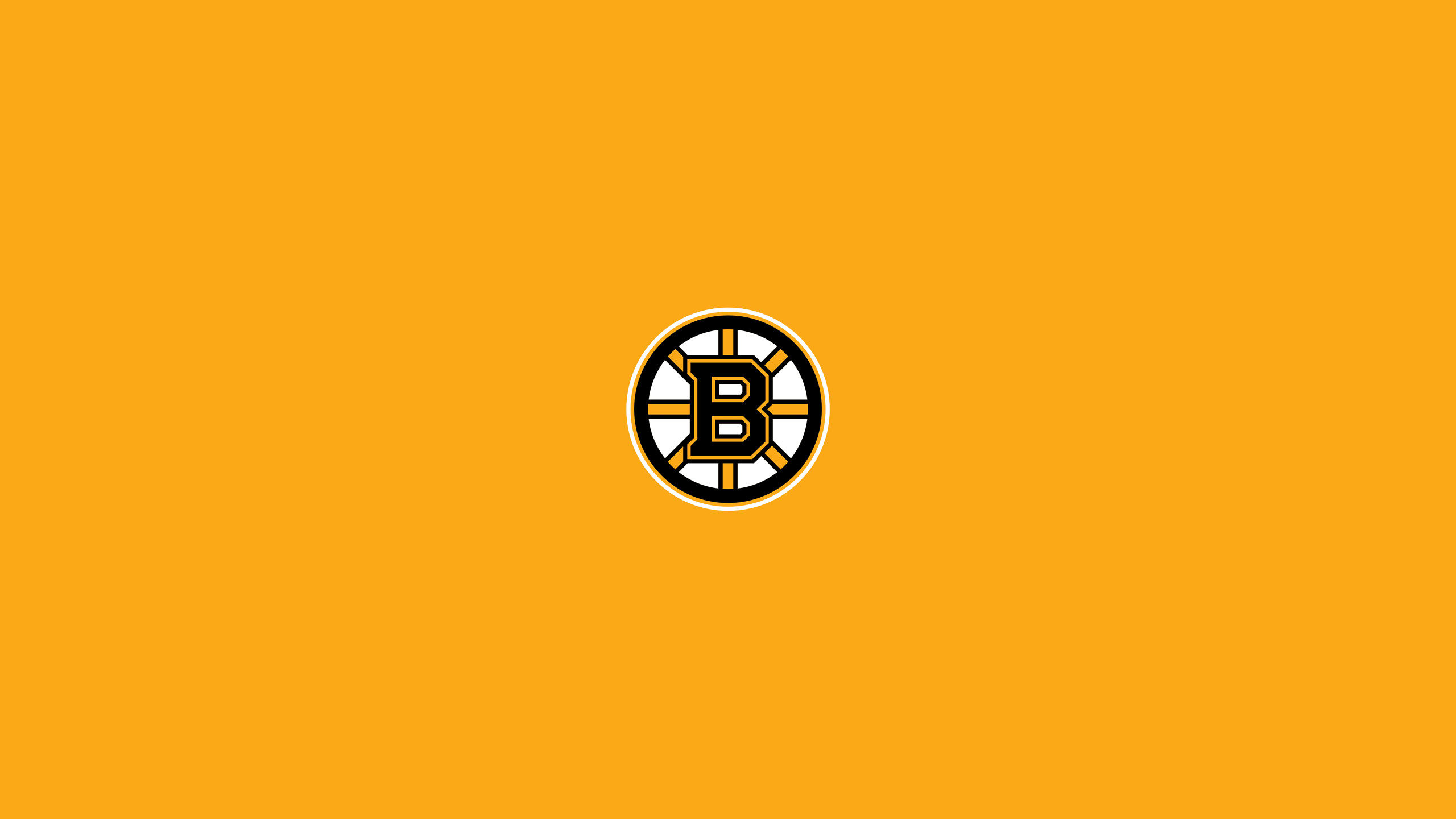 2560x1440 Boston Bruins Practice Jerseys