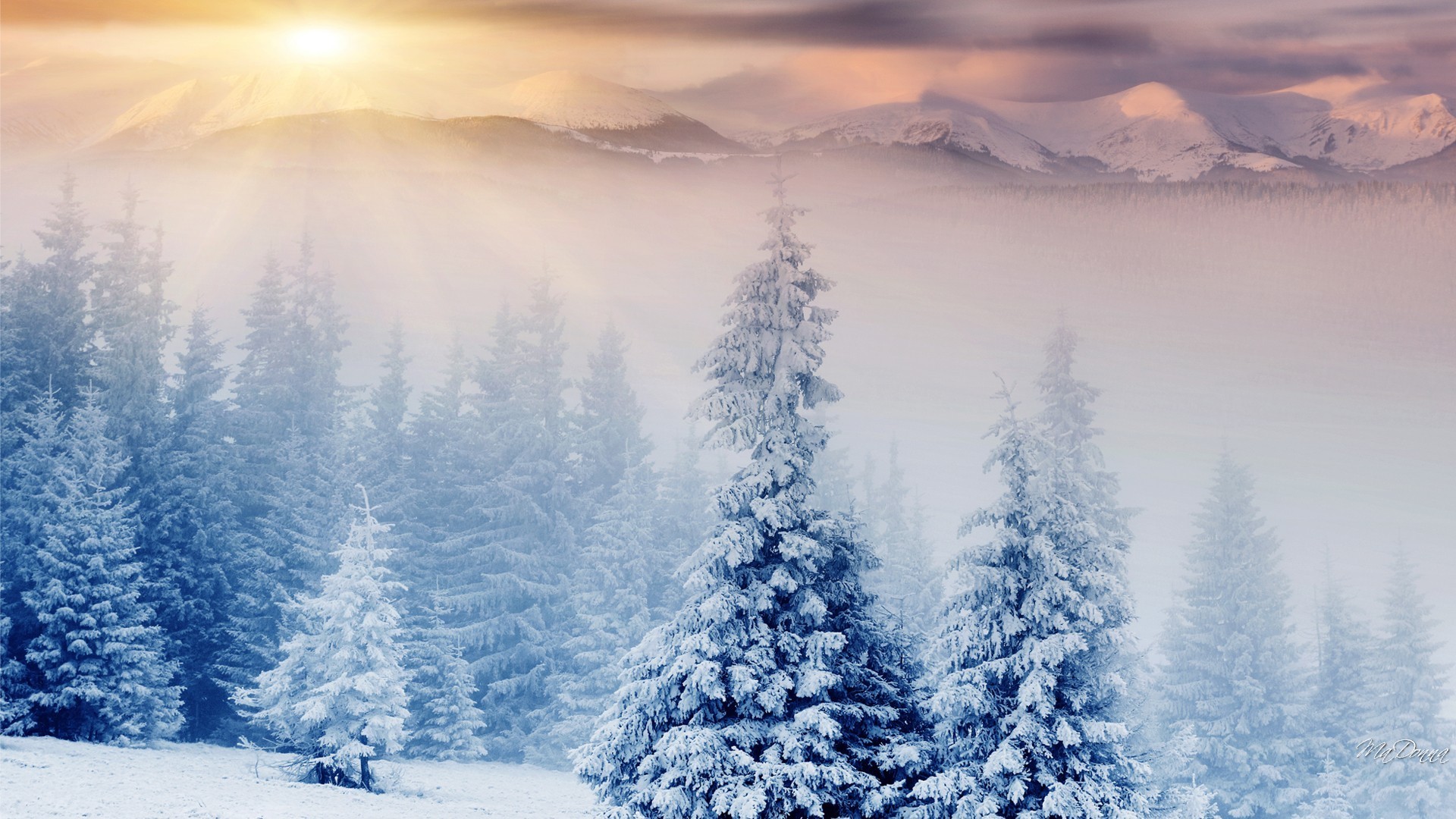 1920x1080 Fog Sunset Trees Wonderland Snow Christmas Mist Sunrise Winter Forest  Mountains Sky Pastel Wallpaper Mac