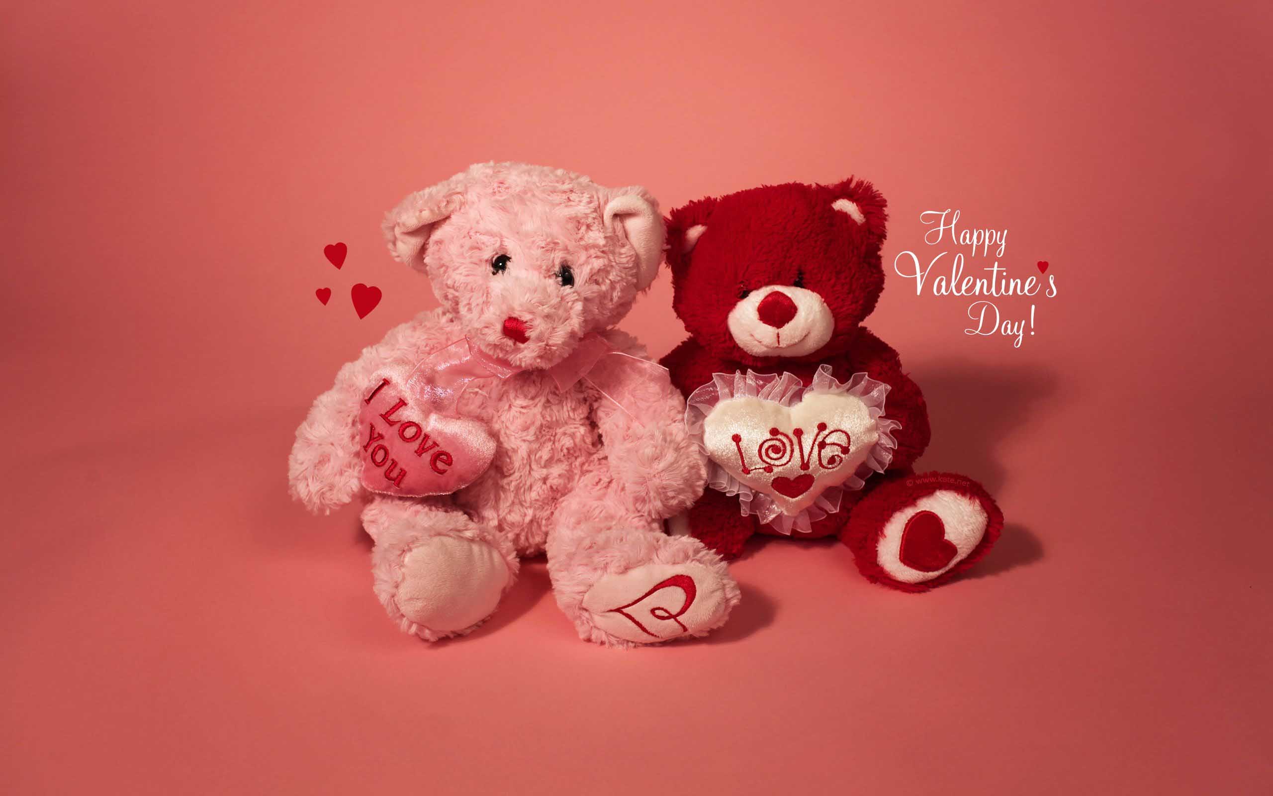 2560x1600 Love Valentine Teddy Bear Download Backgrounds Wallpaper 