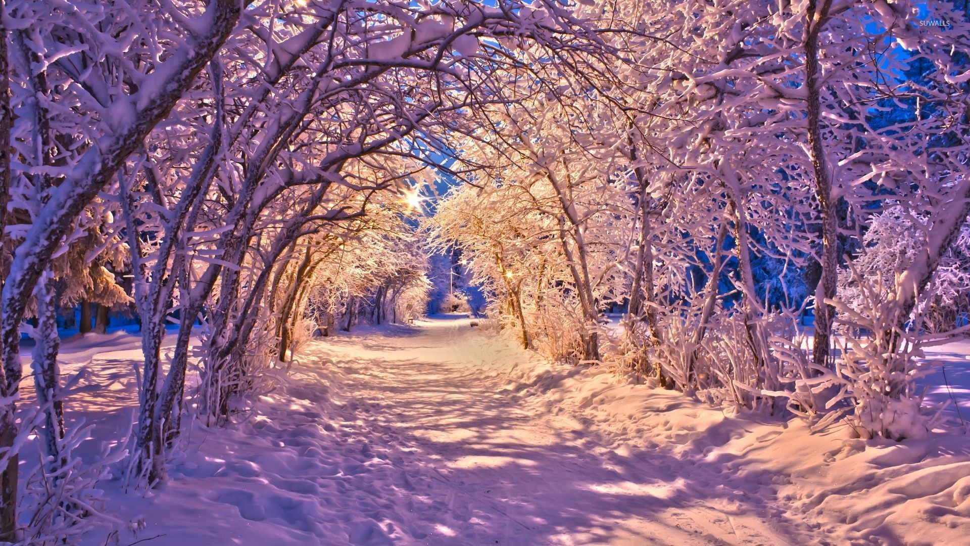 1920x1080 Snowy tree tunnel on the path through the park wallpaper