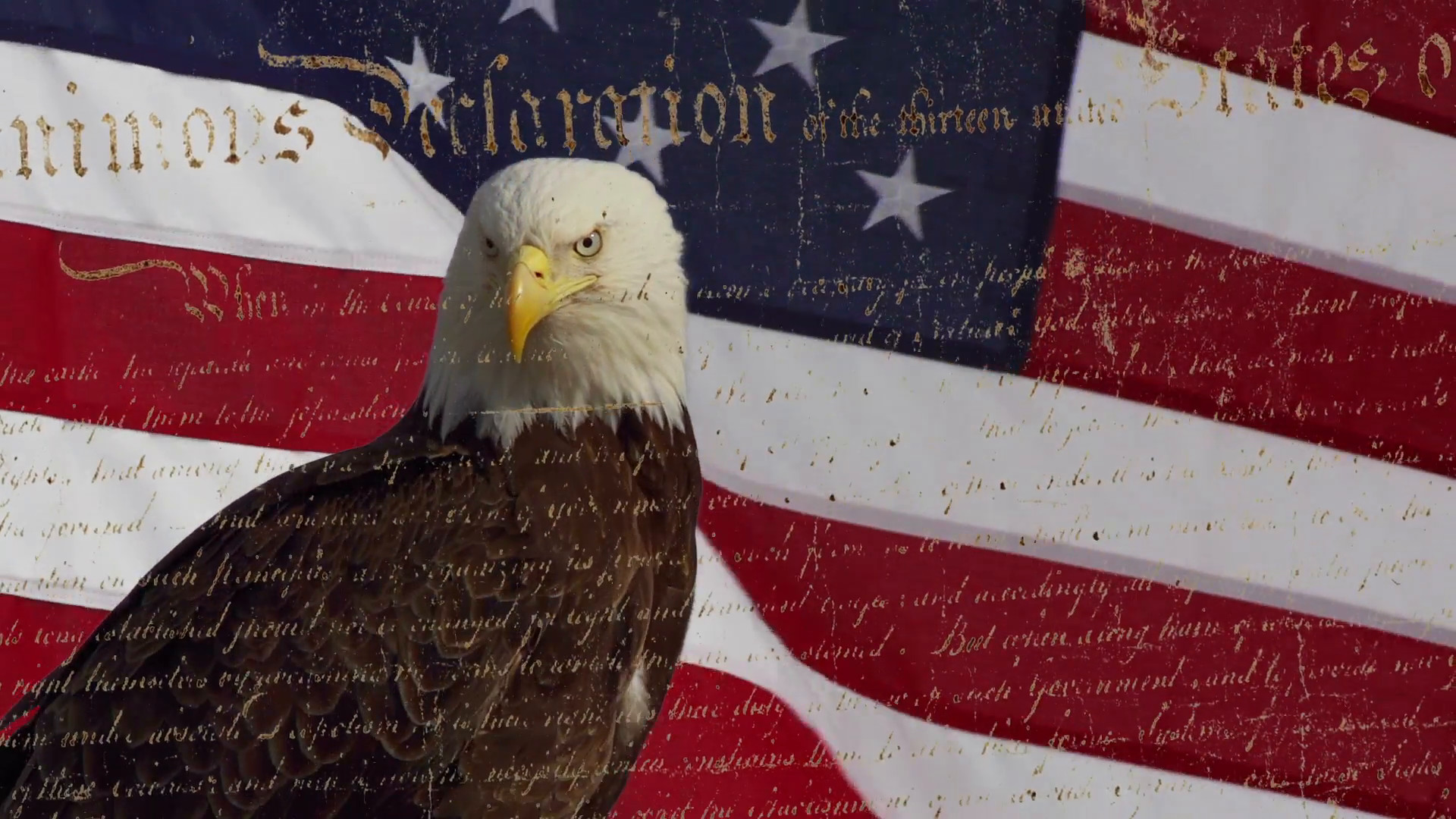 1920x1080 Patriotic Bald Eagle USA Flag Freedom Statue of Liberty Declaration  Independence Stock Video Footage - VideoBlocks