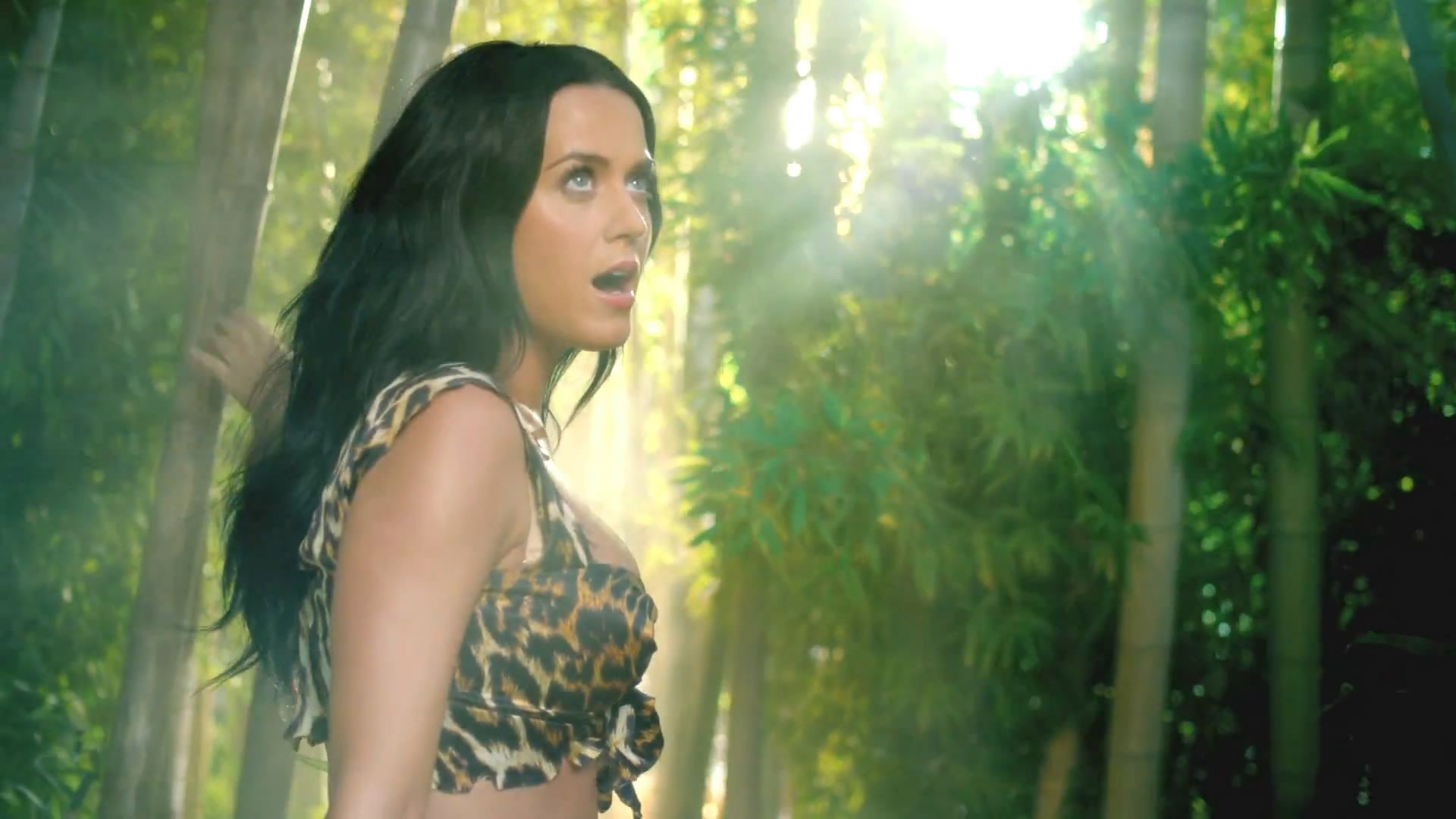 1920x1080 Katy Perry Wallpapers Roar Images