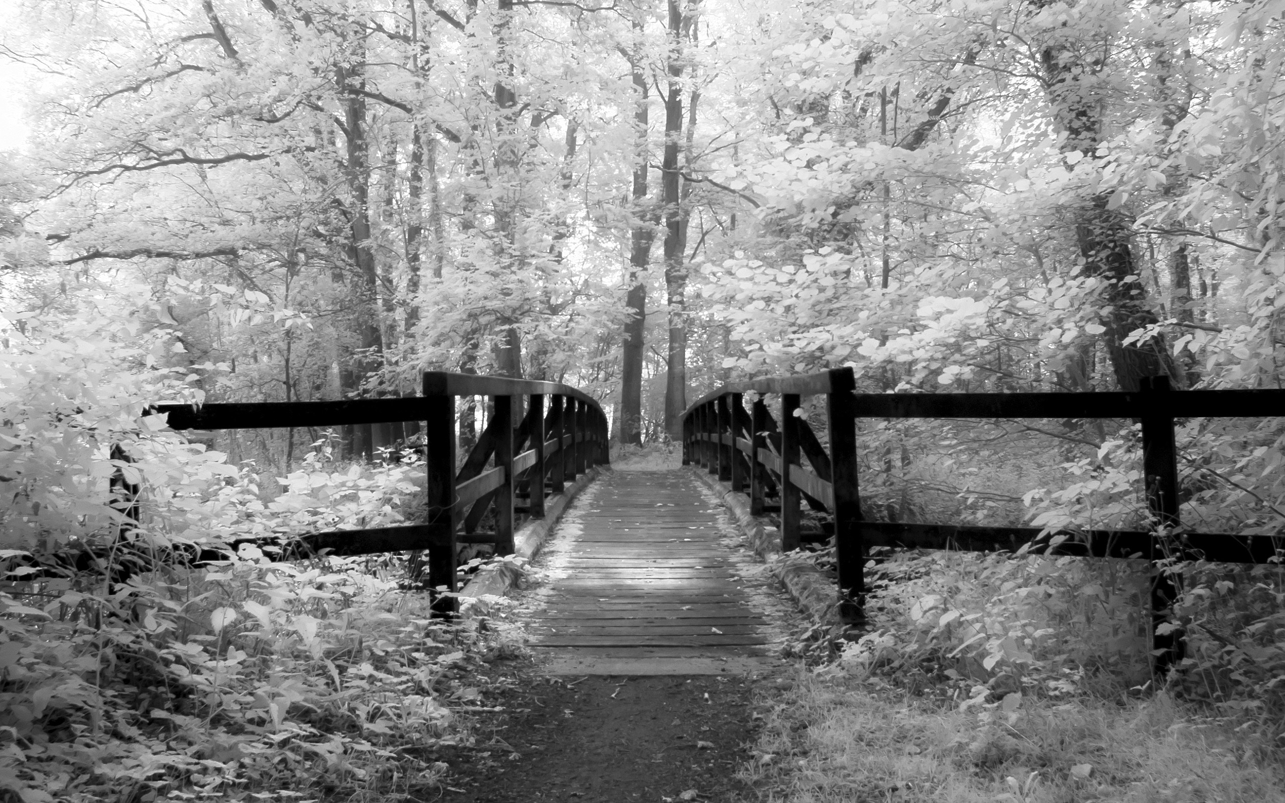 2560x1600 Old Bridge – Infrared Photography