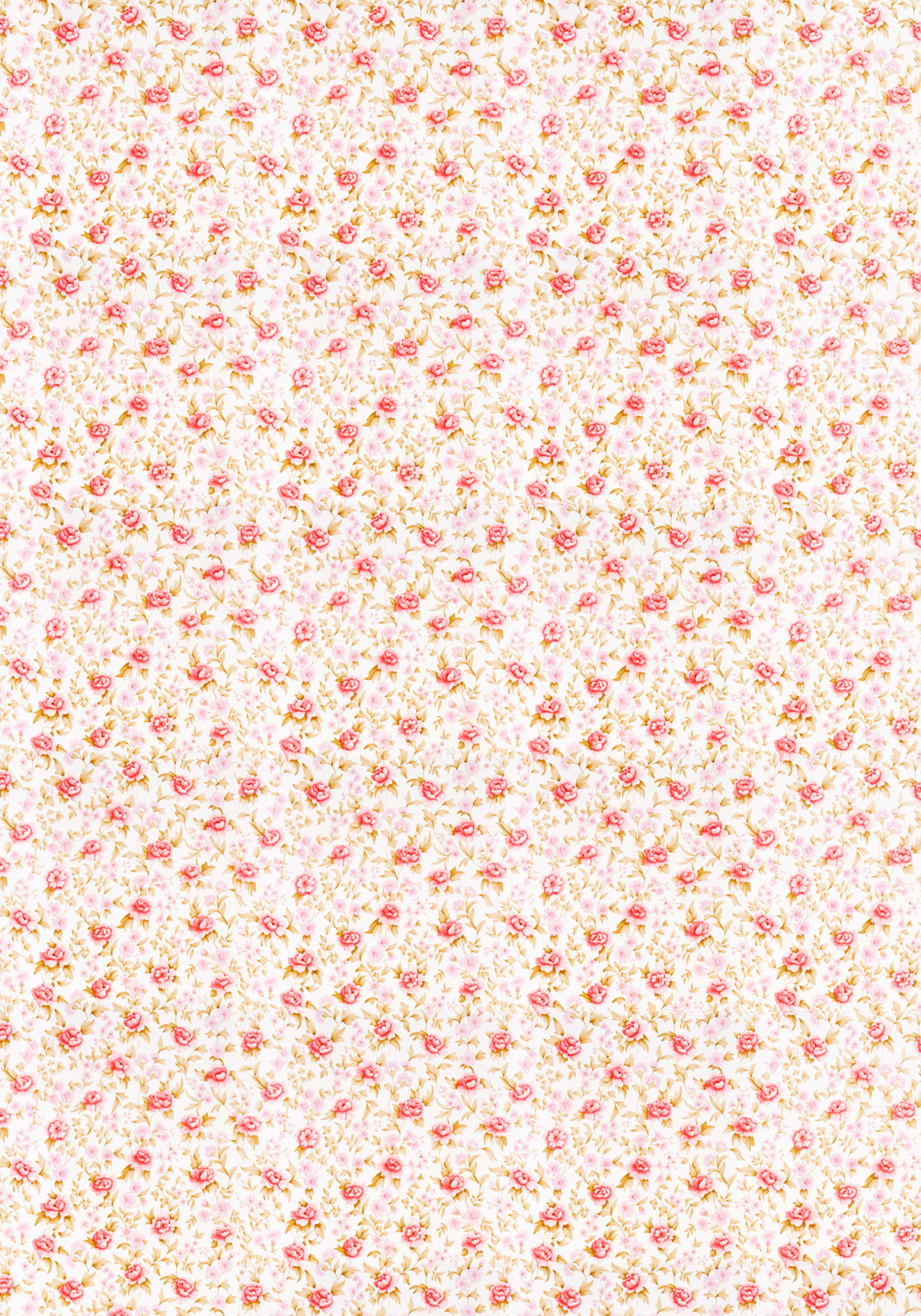 2100x3000 Wallpaper with small roses