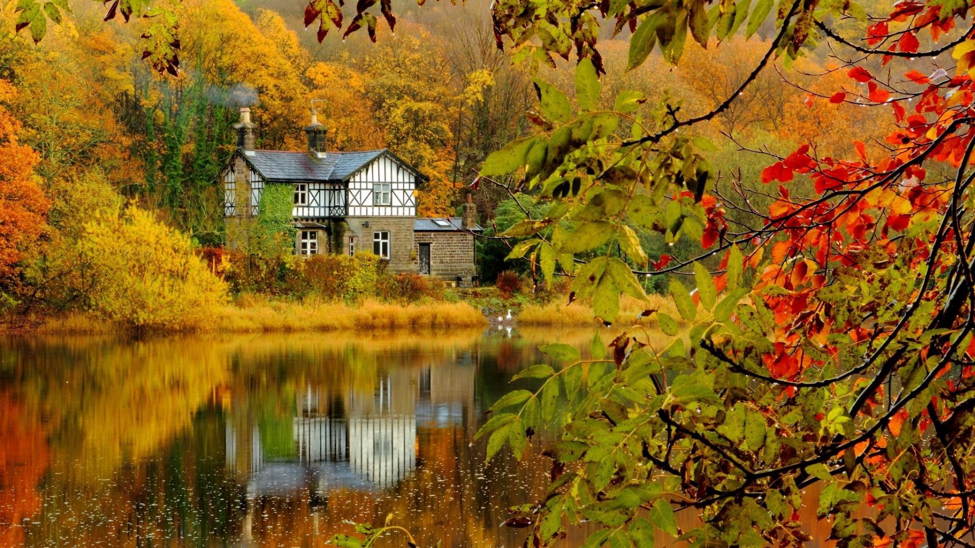 1920x1080 Landscape Tag - House Tree Leaves Nature Lake Reflection Autumn Leaf Forest  Landscape Fall Screensavers Wallpapers