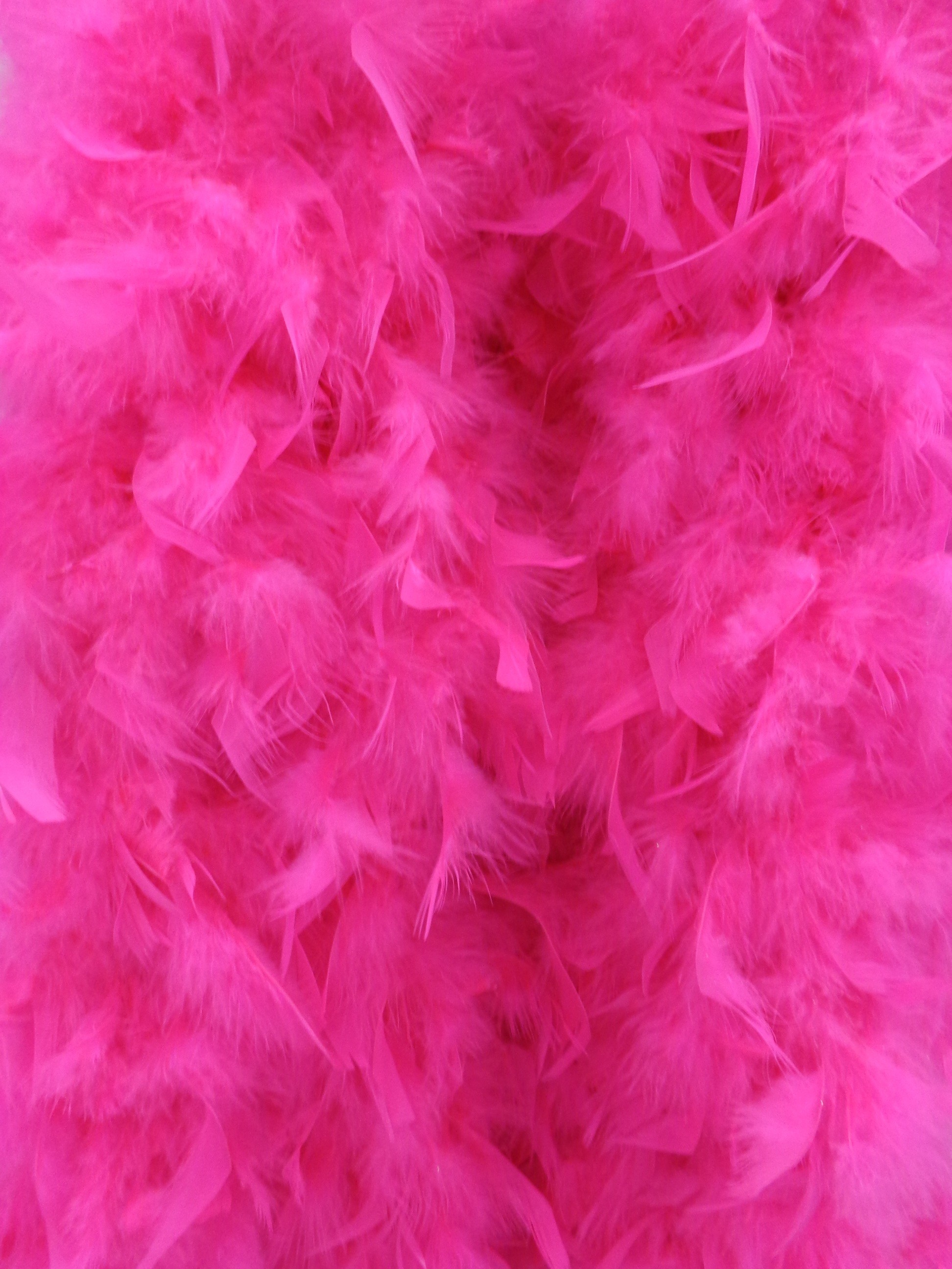 1944x2592 bird wing texture petal fur fluffy color pink feather material background  feathers delicate magenta puff fashion