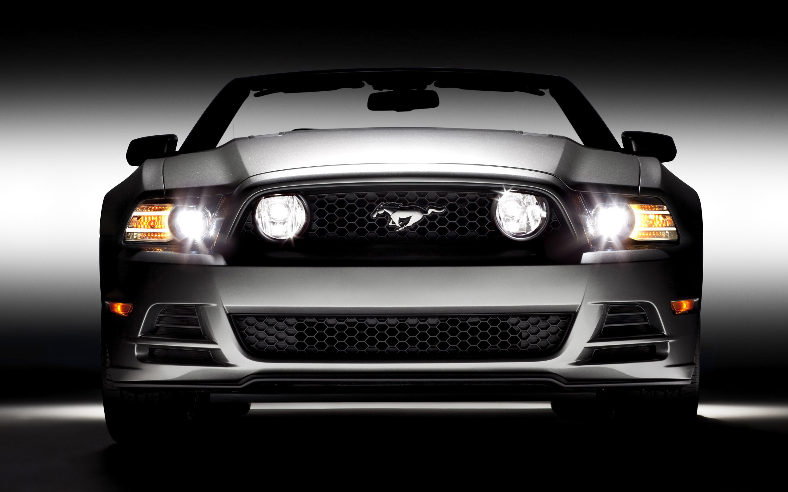 2560x1600 Ford Mustang 2014 Wallpaper