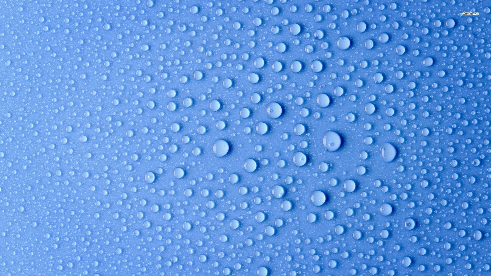 HD Water Drops Wallpaper (79+ images)
