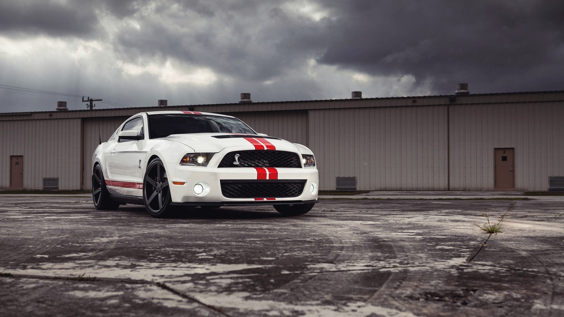 1920x1080 Download Shelby Wallpaper Free Download Full Size
