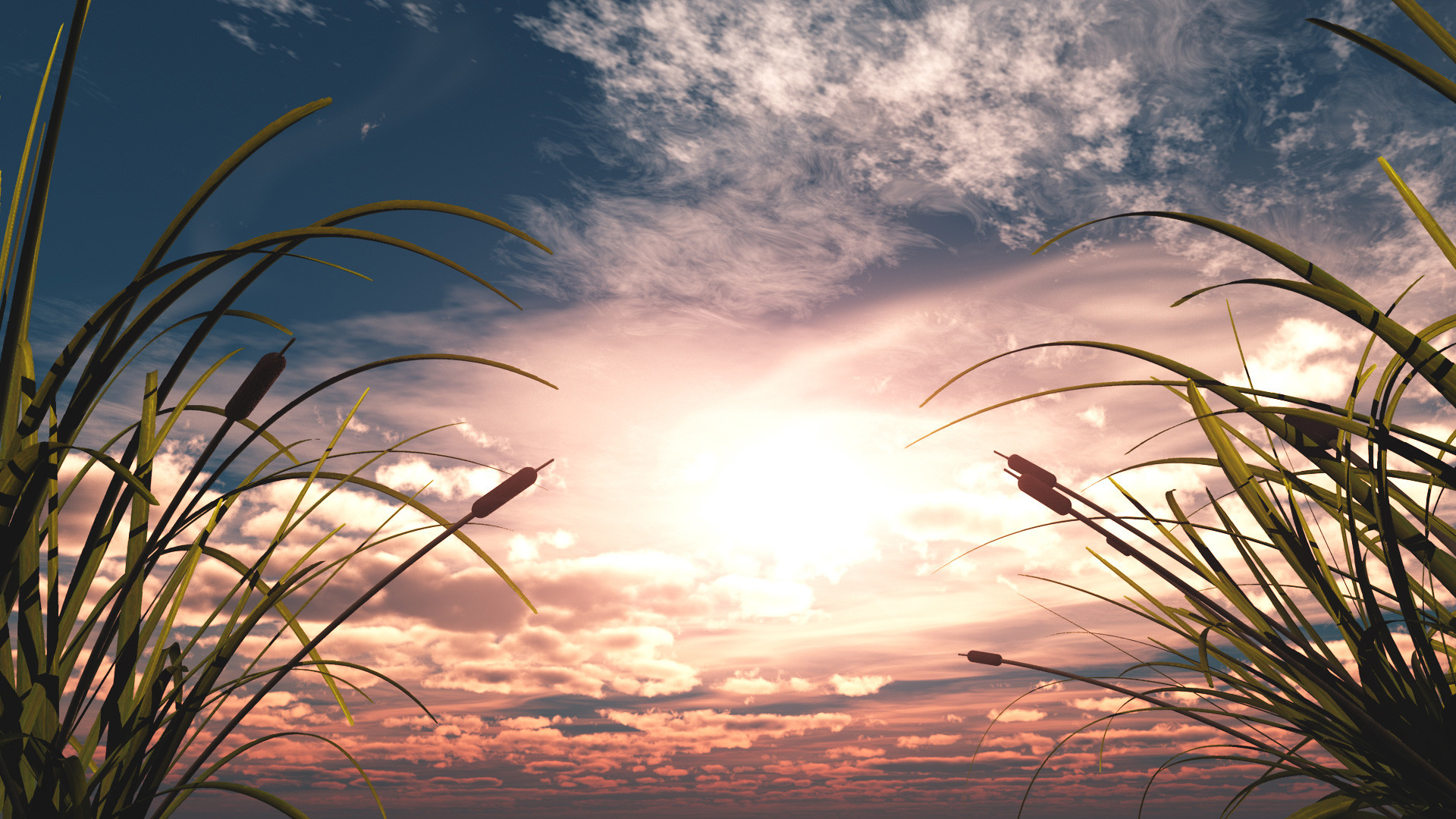 1920x1080 ... Sunset-Through-Reeds-Ministry-Worship-Background ...