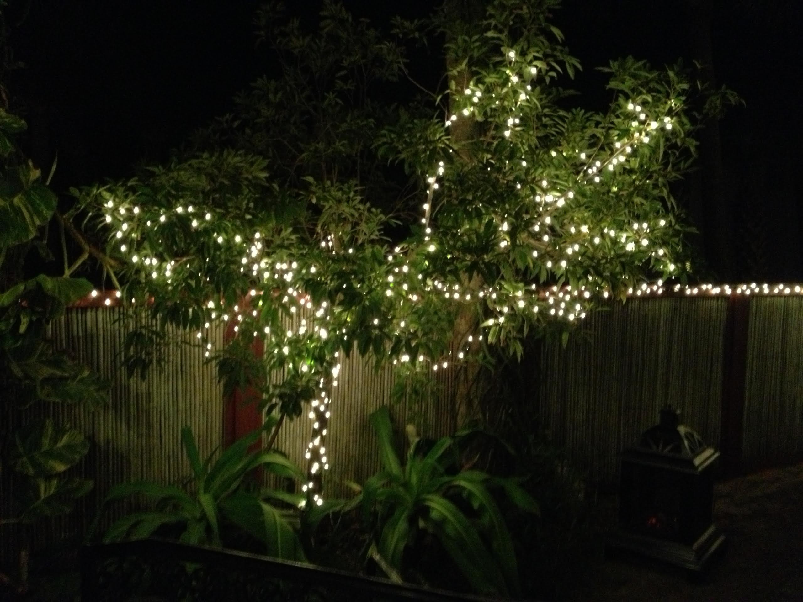 2560x1920 christmas in florida lights