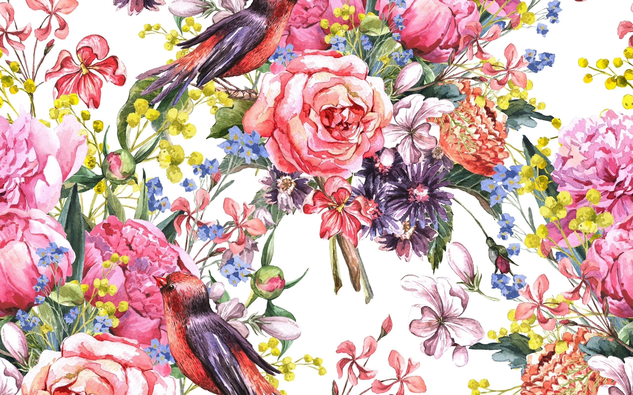 2560x1600 painting watercolor flowers birds