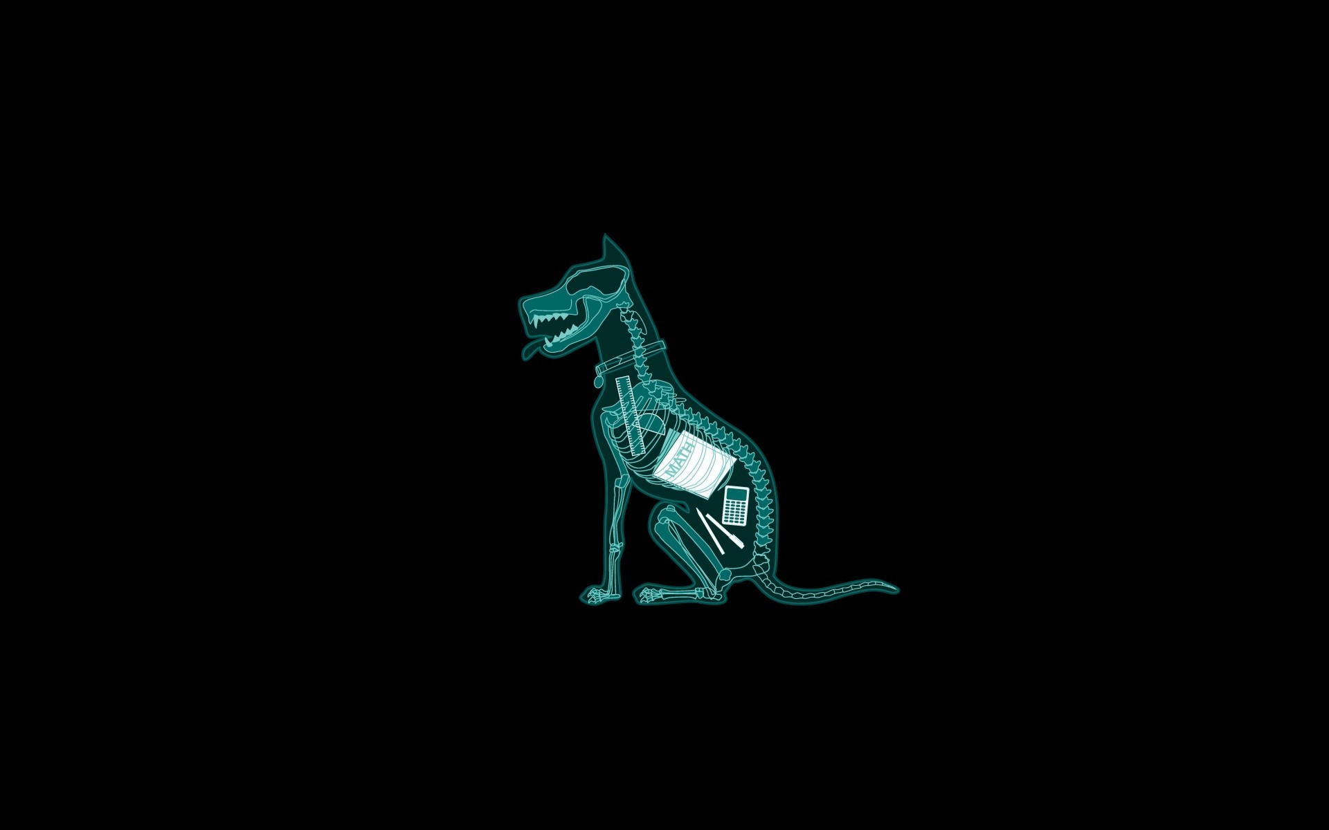 1920x1200 Anatomy Black Background Dark Dogs Funny Mathematics Minimalistic Simple  X-Ray