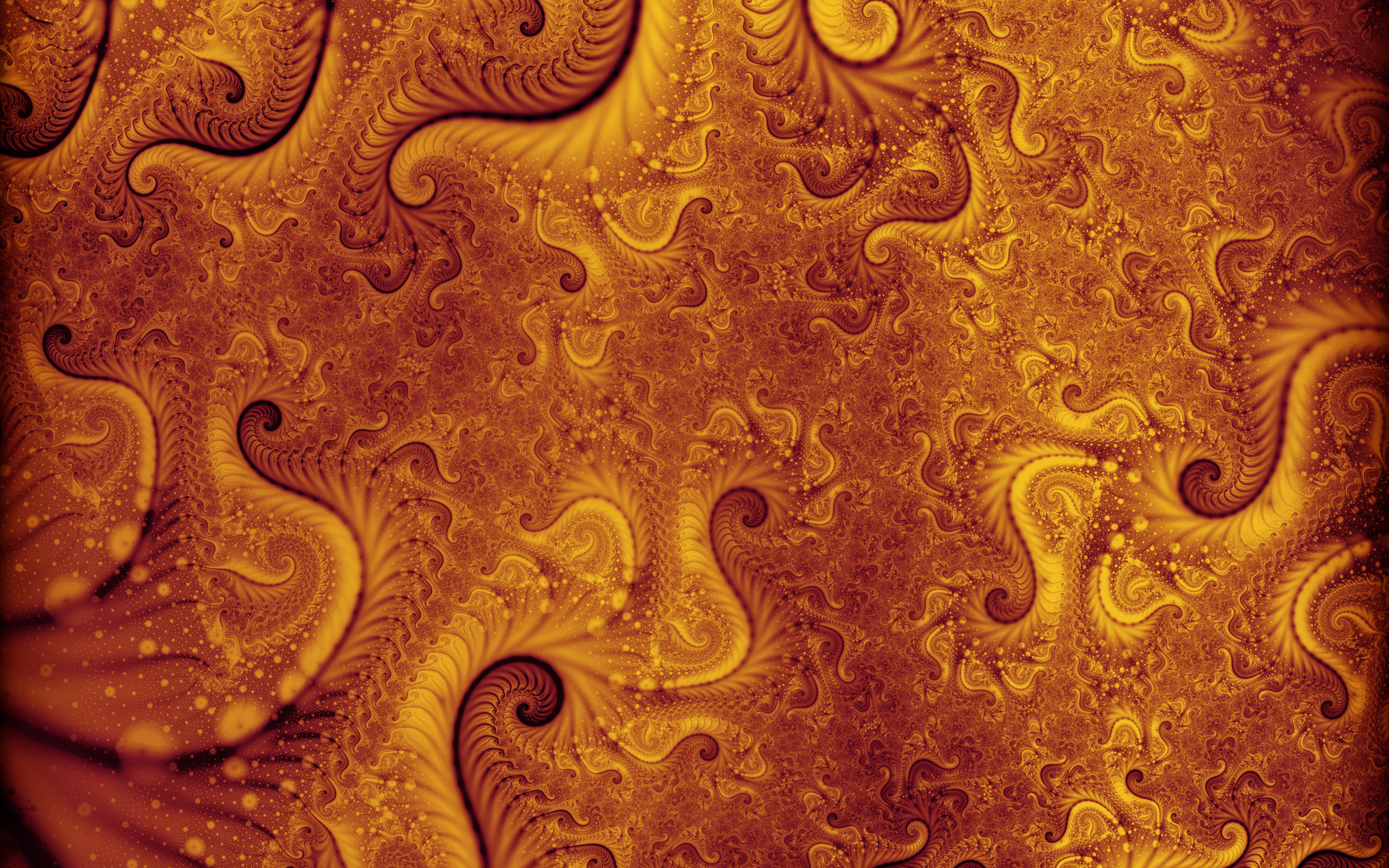 2560x1600 Free fractal wallpaper background