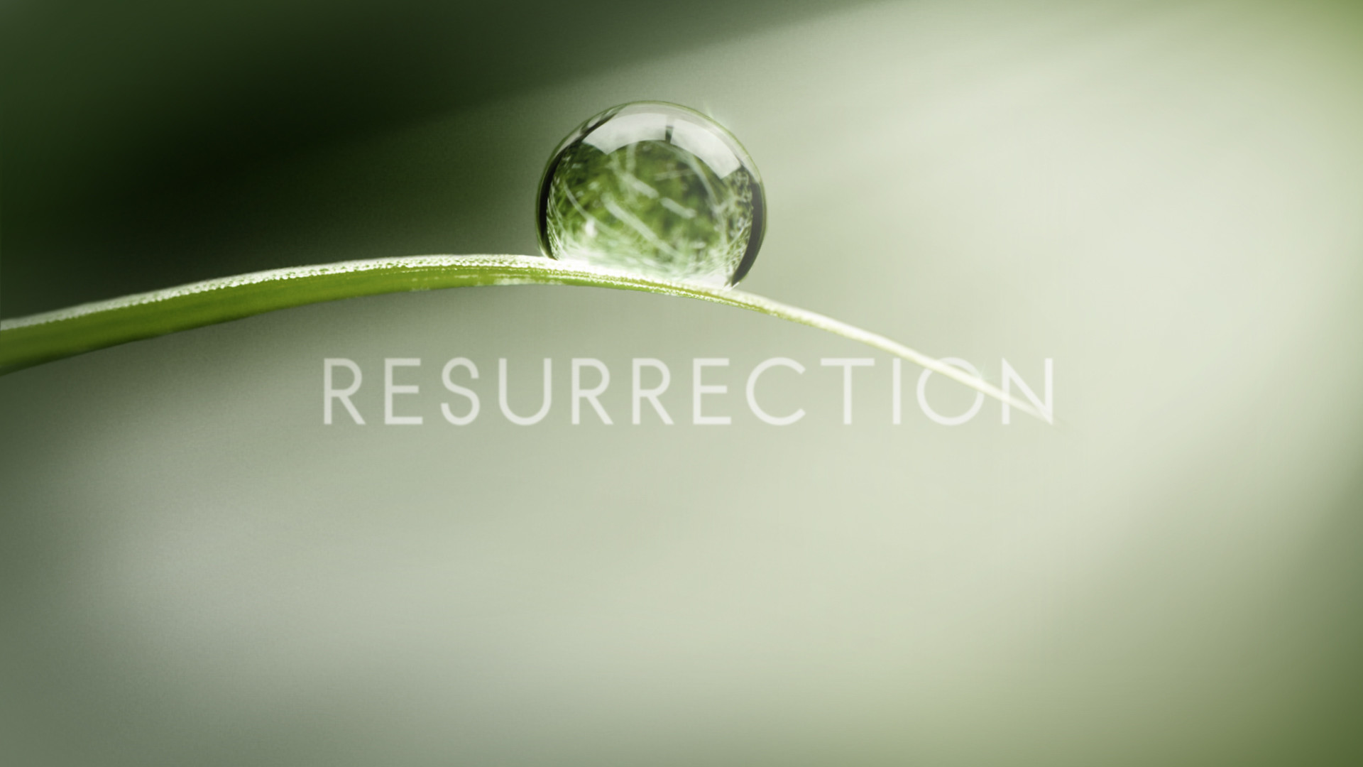 1920x1080 #Resurrection