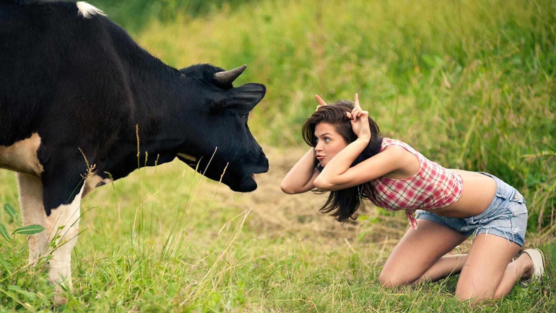 1920x1080 Funny Hot Girl Cow Images HD Wallpapers