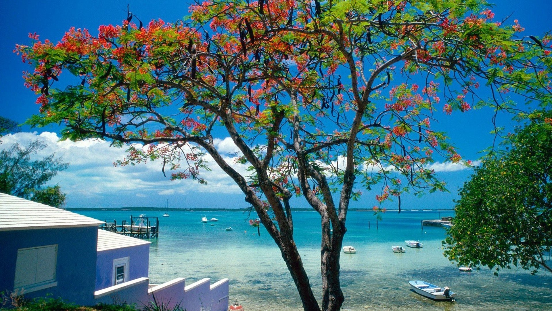 1920x1080 tropical, landscape, amazing beaches summer time,sea images, escape,  sunbahting, bahamas Wallpaper HD