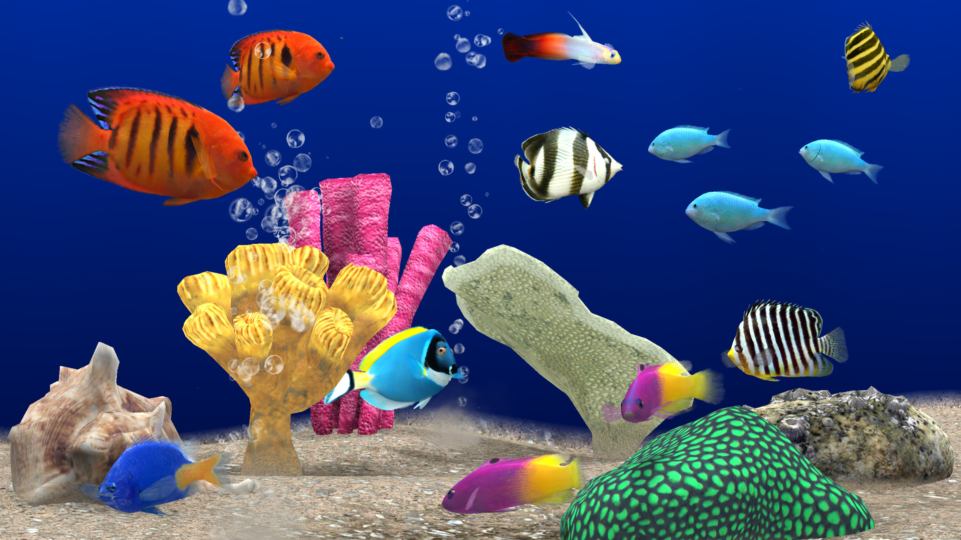 3D Aquarium Wallpaper (52+ images)