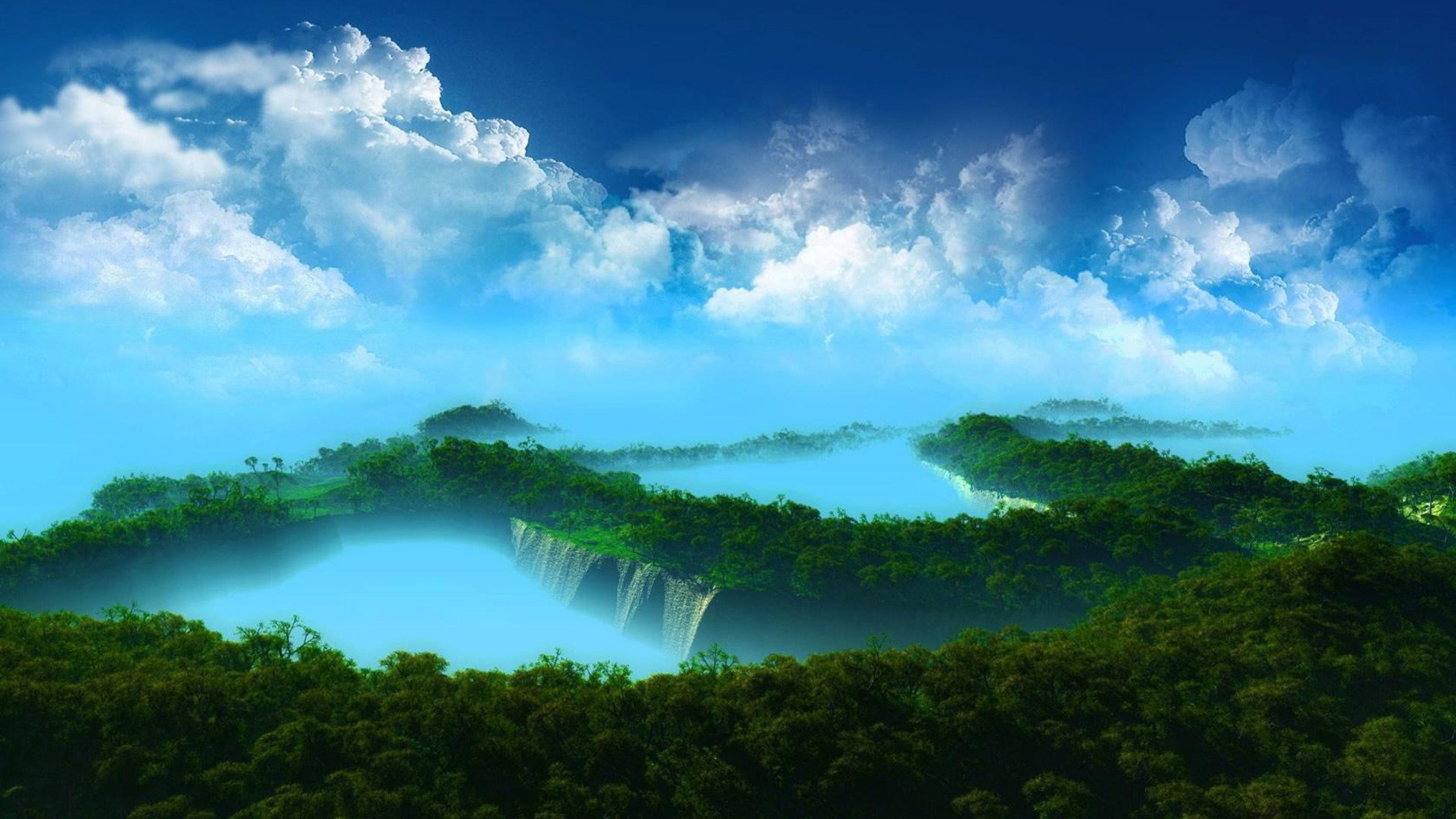 2560x1440 Amazing forests forest scary space images high resolution.