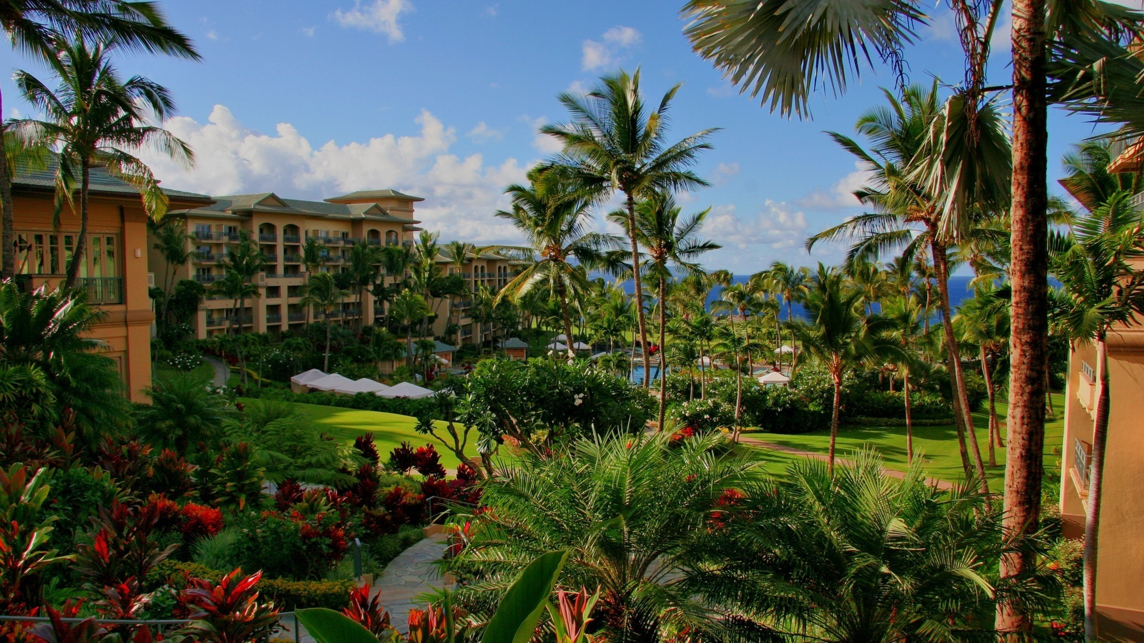3840x2160 Preview wallpaper hawaii, hotel, palm trees, swimming pool, sea, flowers  