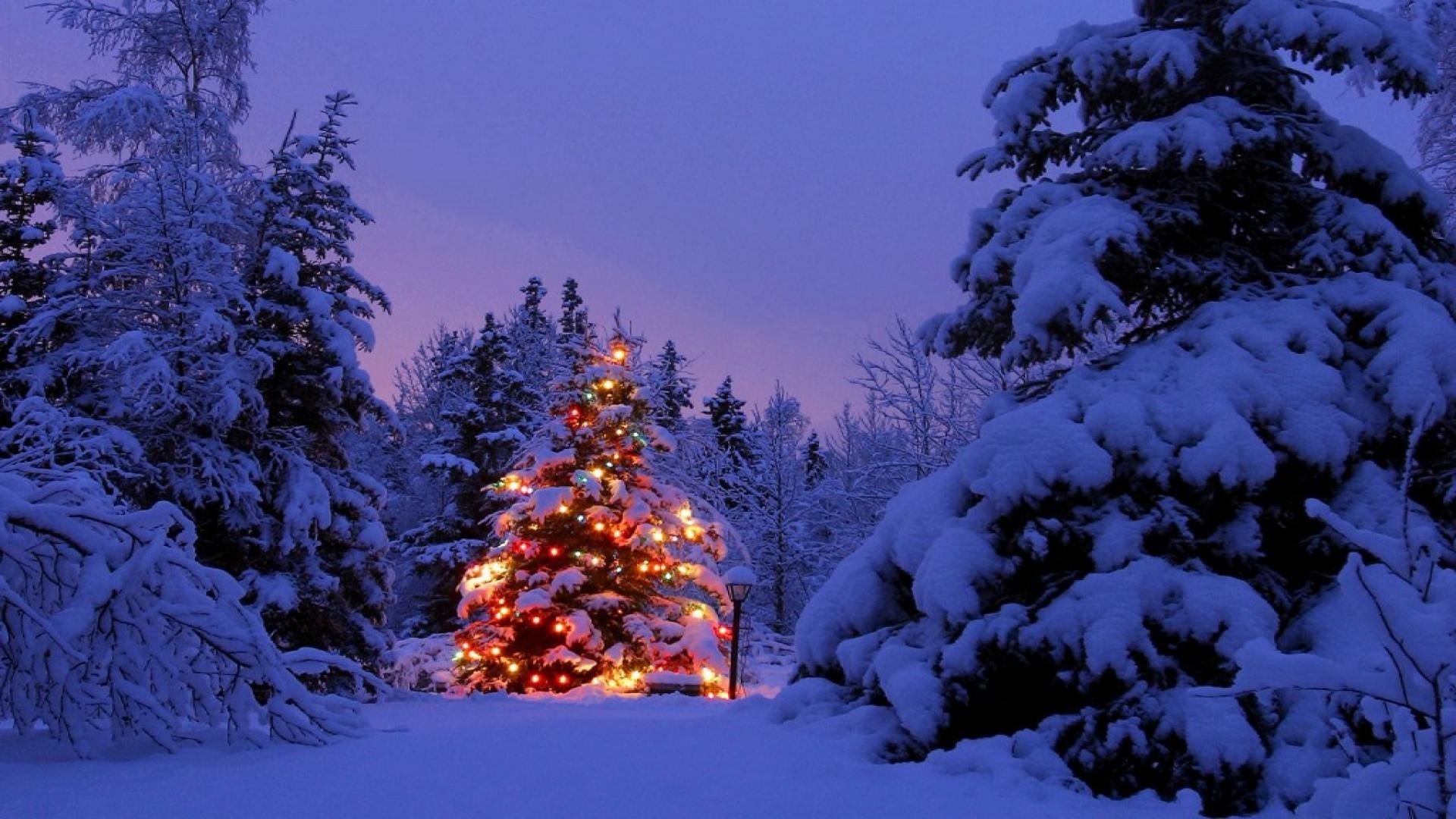 1920x1080 Christmas Scene Backgrounds - Wallpaper Cave