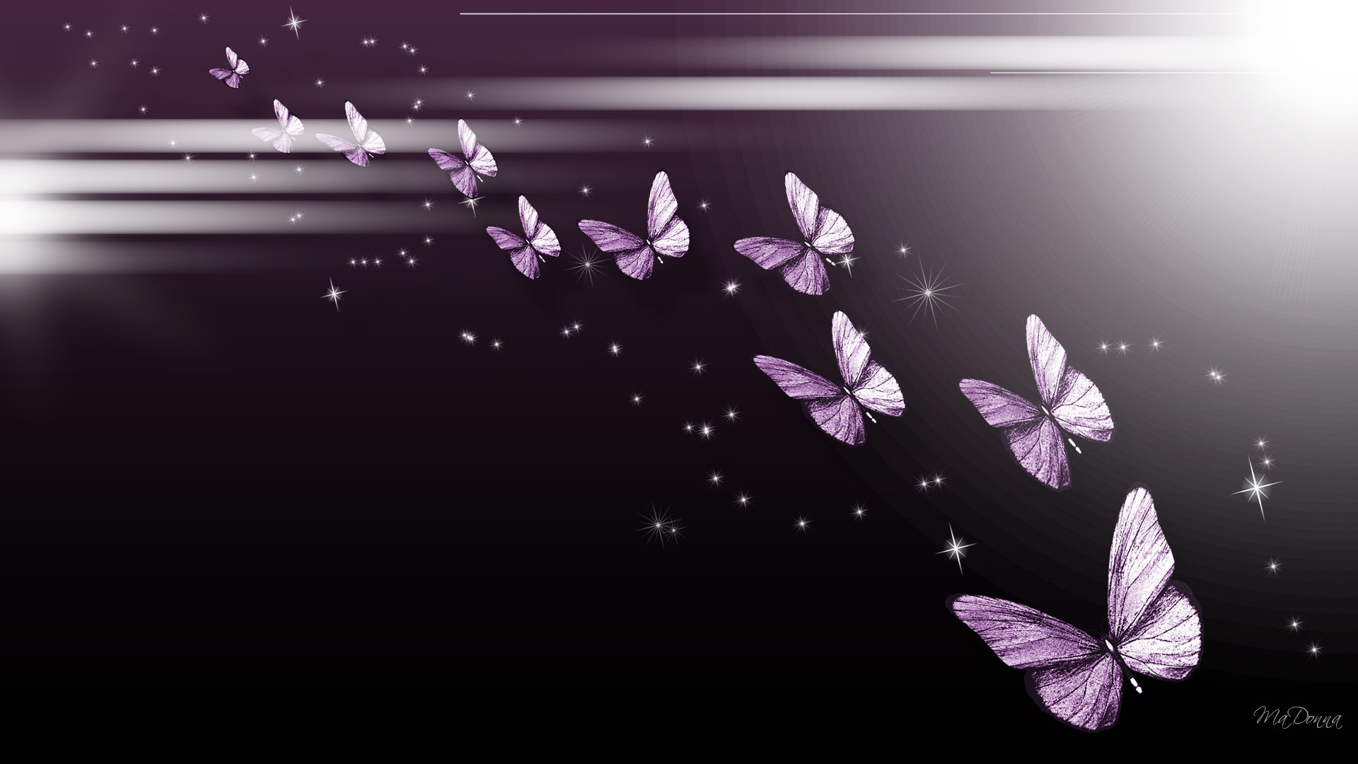 1920x1080 Purple Butterfly Wallpapers Hd