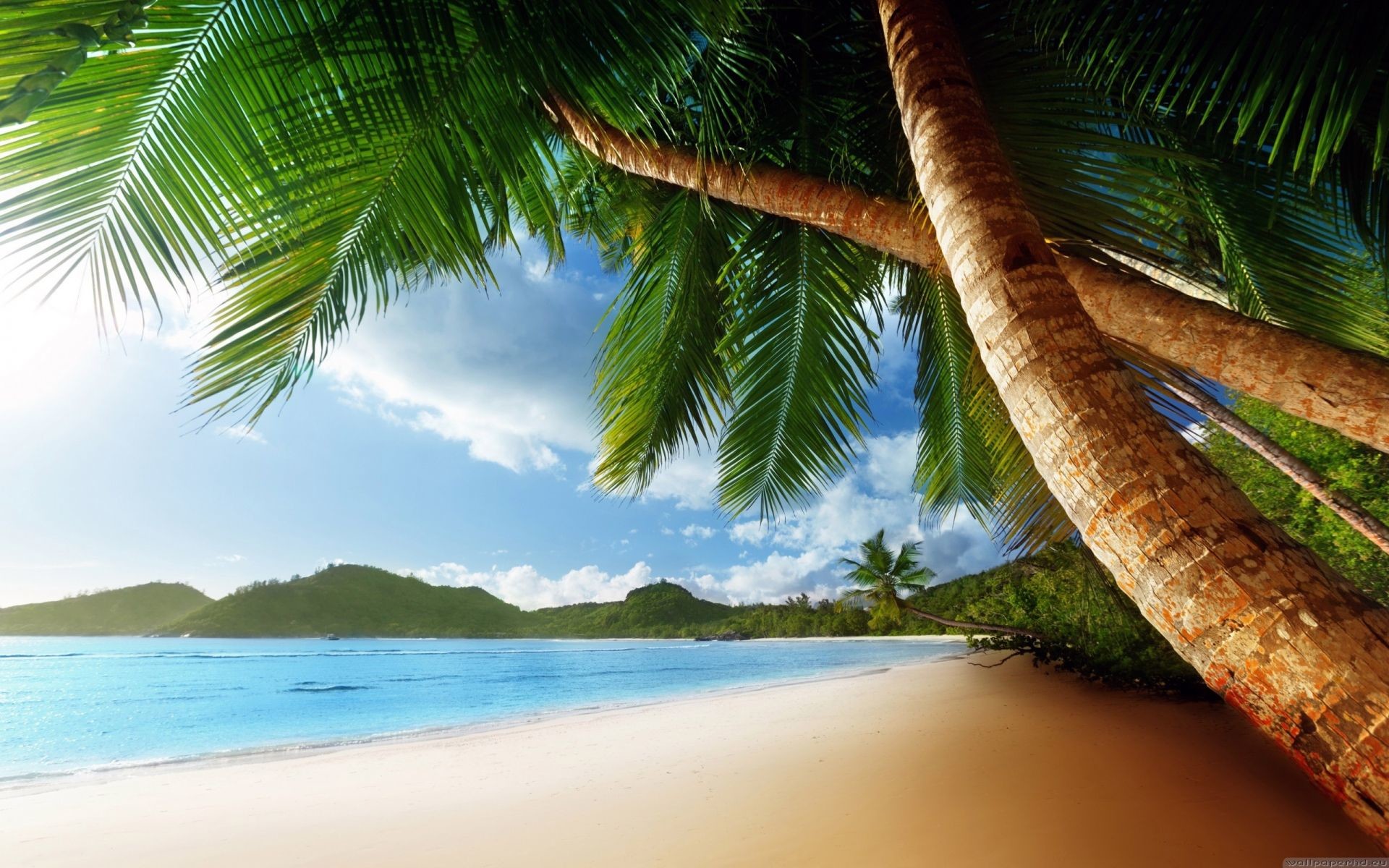 1920x1200 Free Download Caribbean Beach Wallpaper HD For Your Desktop Nature