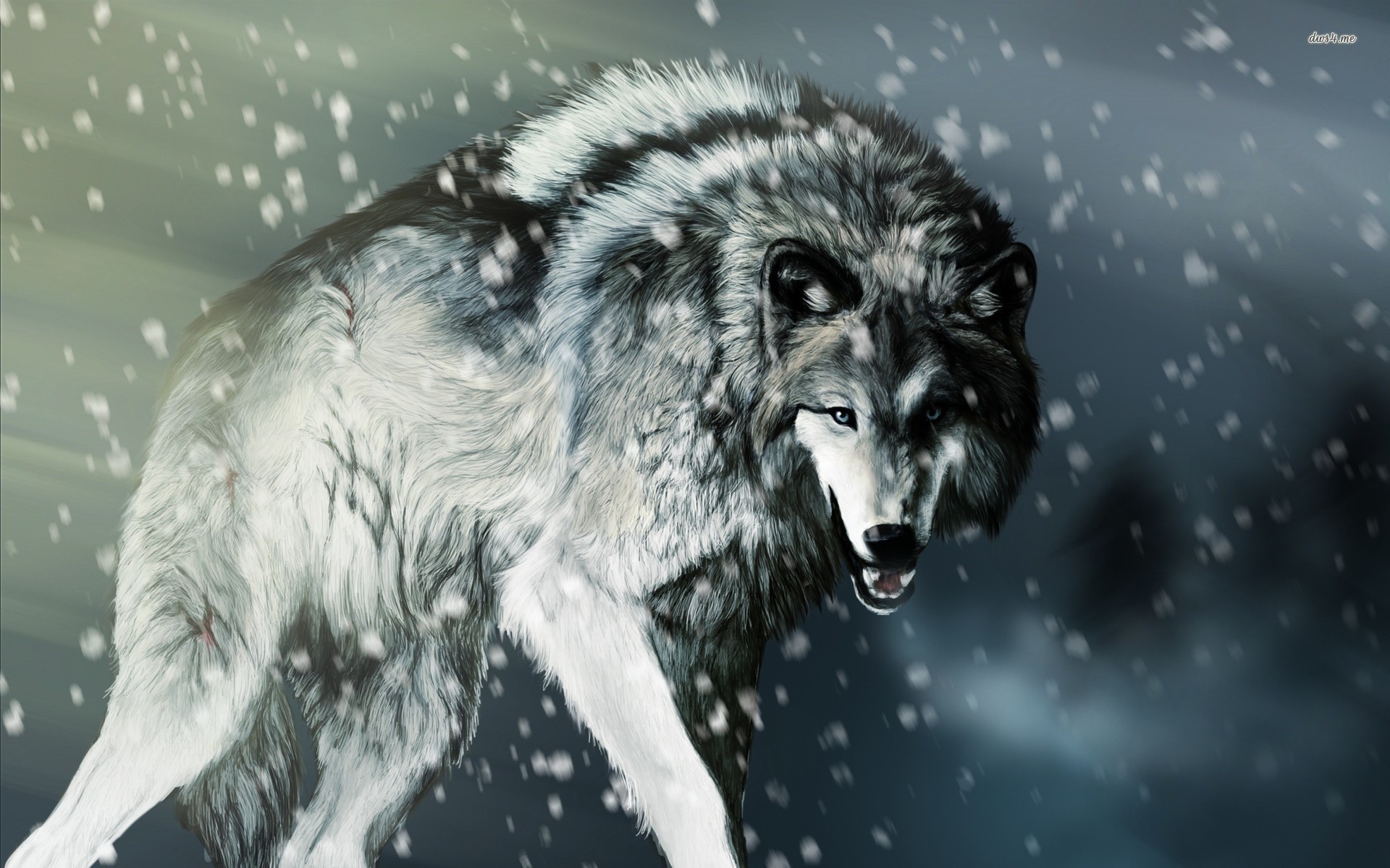 1920x1200 2560x1700 Wallpapers For > Arctic Wolf Wallpapers