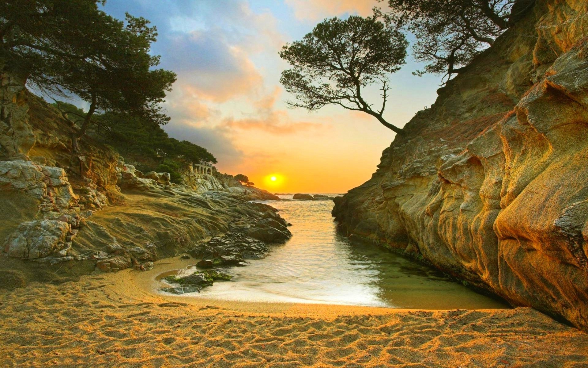 1920x1200 nature, Landscape, Sunrise, Beach, Sand, Trees, Rock, Coast, Sea Wallpapers  HD / Desktop and Mobile Backgrounds