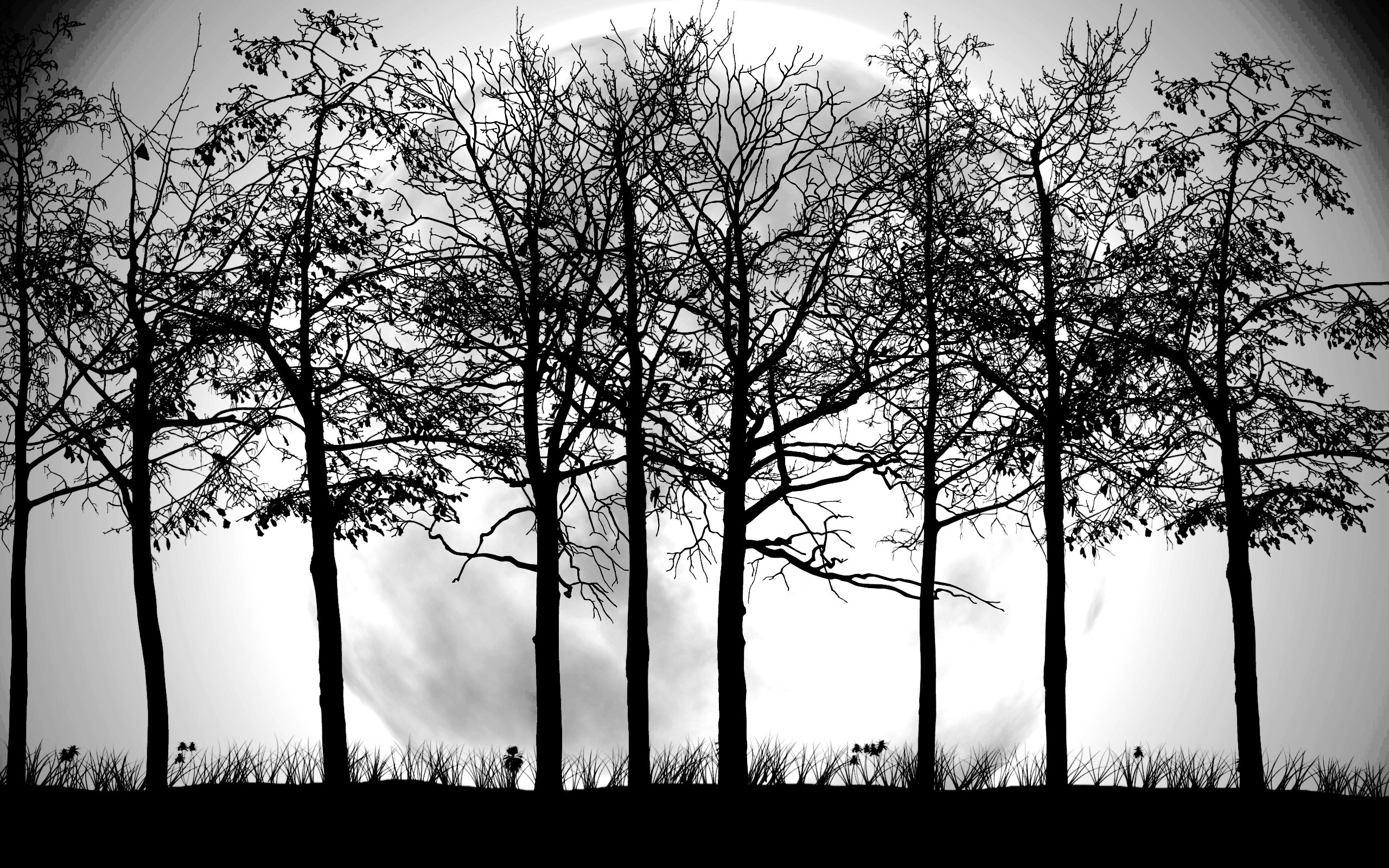 2560x1600 Tree Black and White Wallpapers.
