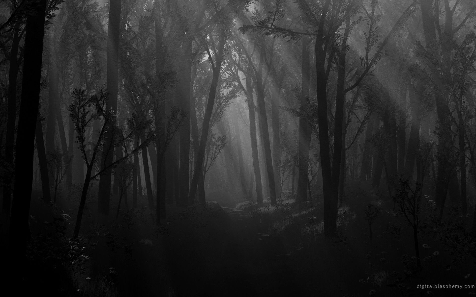 1920x1200  dark forest background  xiaomi