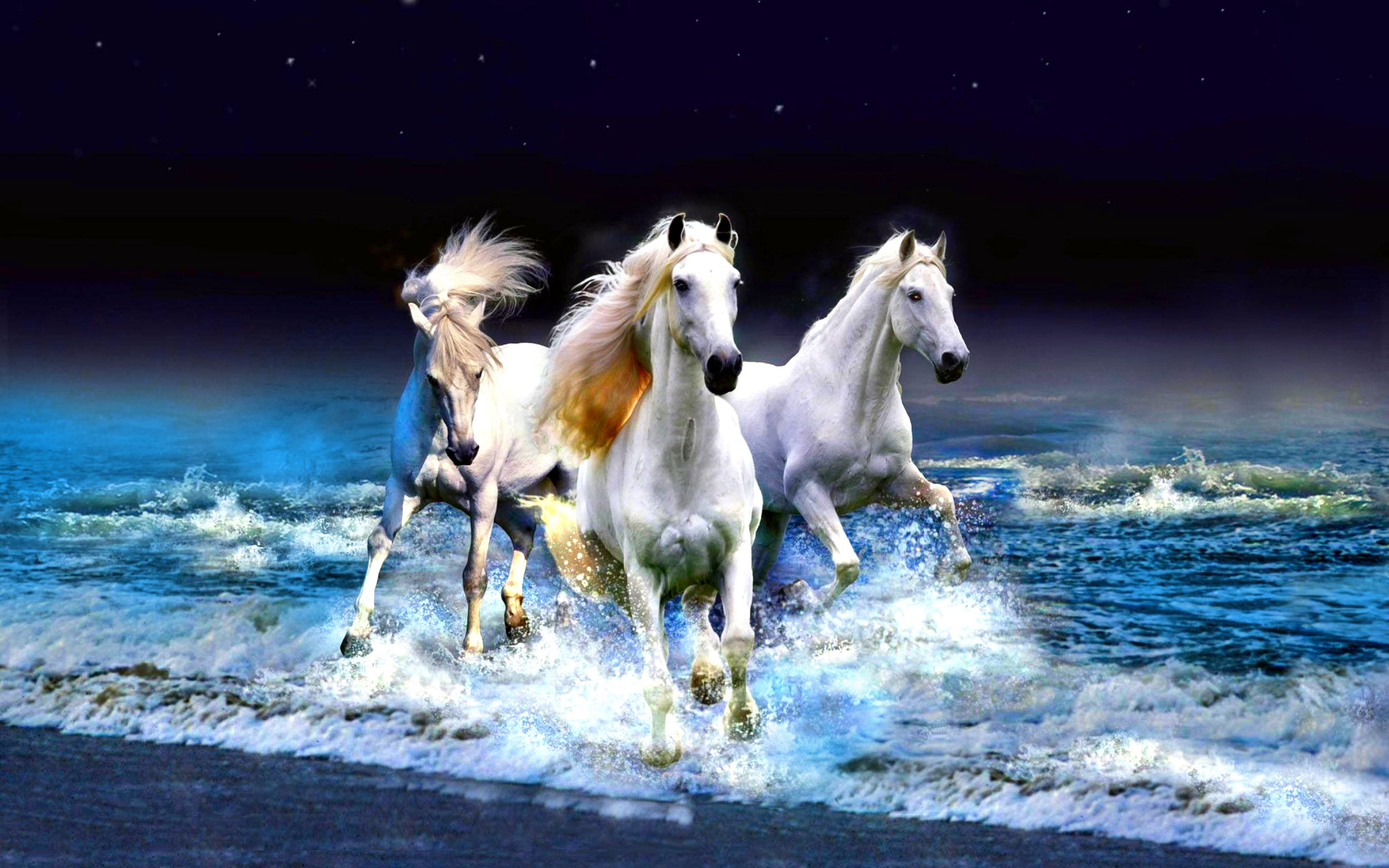 3072x1920 HD Wallpaper | Background ID:321674.  Animal Horse