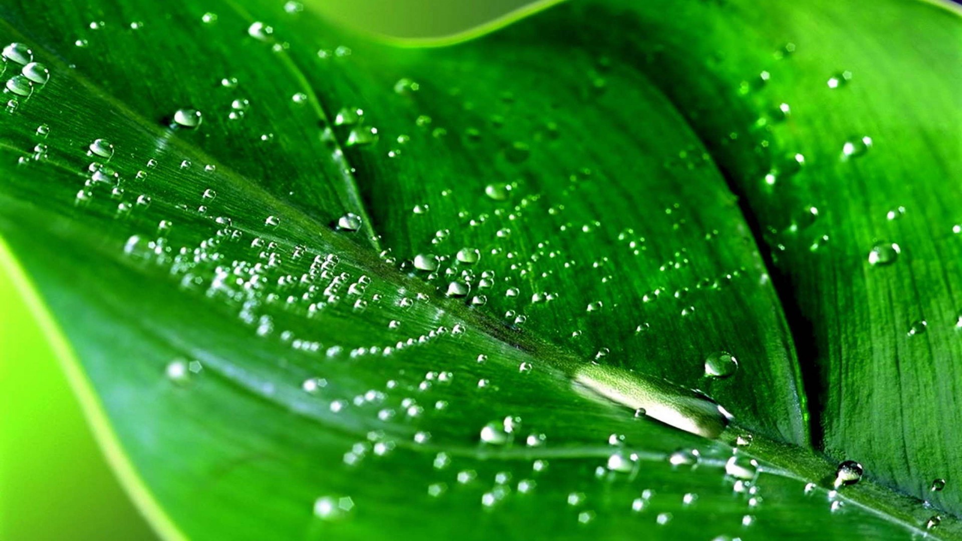 1920x1080 free hd wallpaper high resolution download high definiton wallpapers desktop  images windows 10 backgrounds amazing quality images computer wallpapers  cool ...