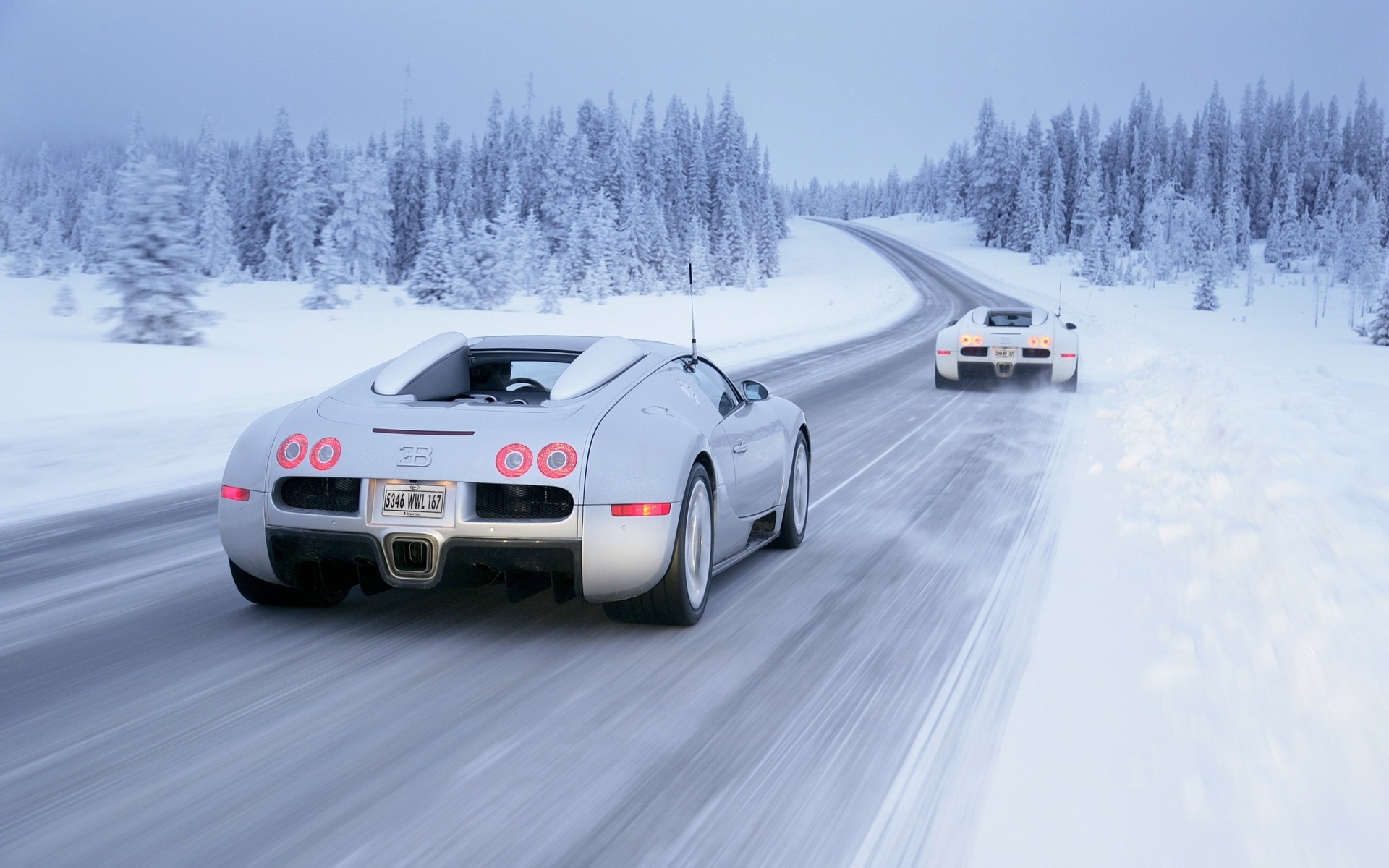 1920x1200 Bugatti Veyron vehicles cars exotic supercar landscapes nature winter snow  blizzard trees forests roads track wallpaper |  | 25707 |  WallpaperUP
