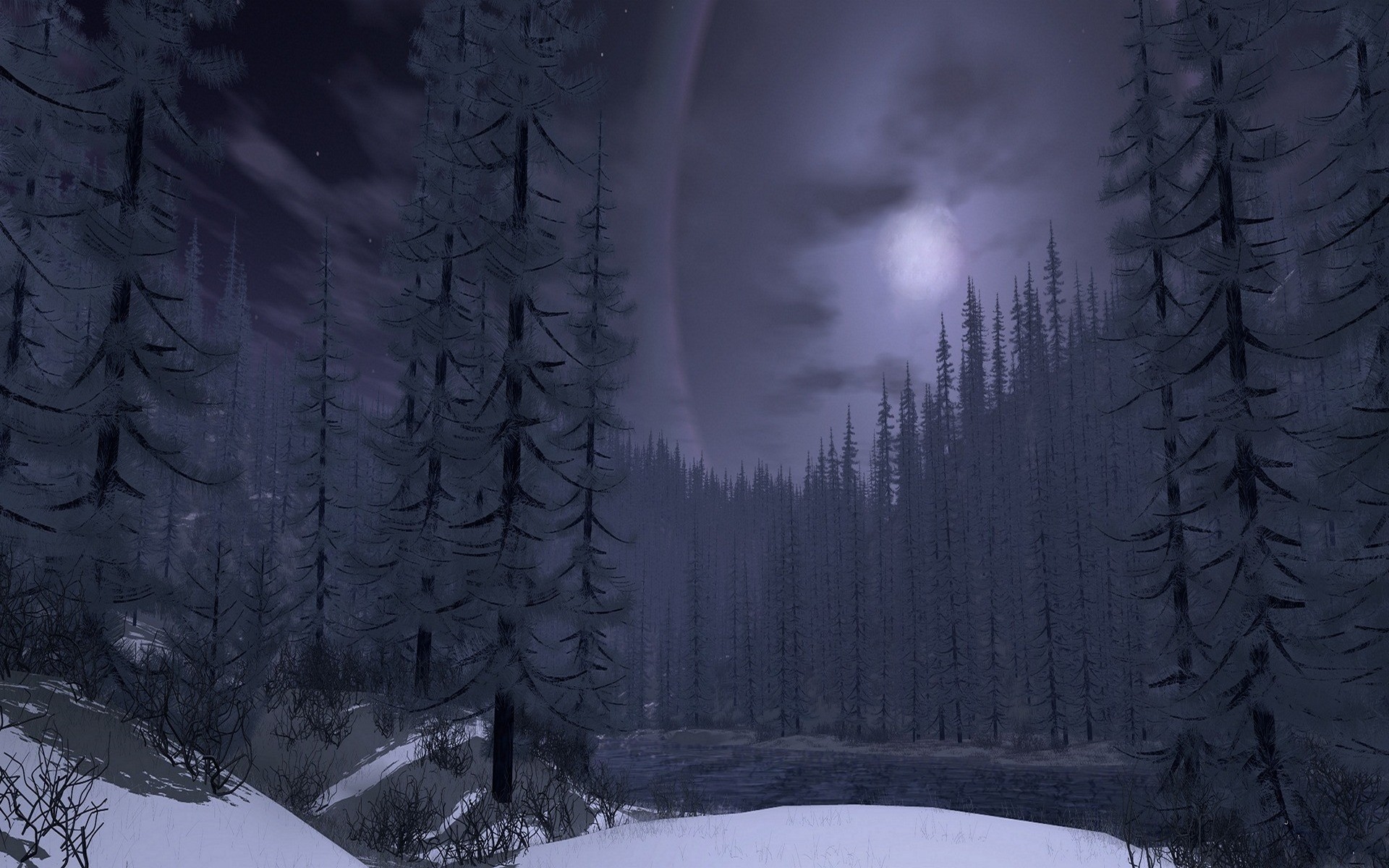 Полна тайн сумрачная. Зимний лес ночью. Темный снежный лес. Мрачный зимний лес. Мрачный зимний пейзаж.